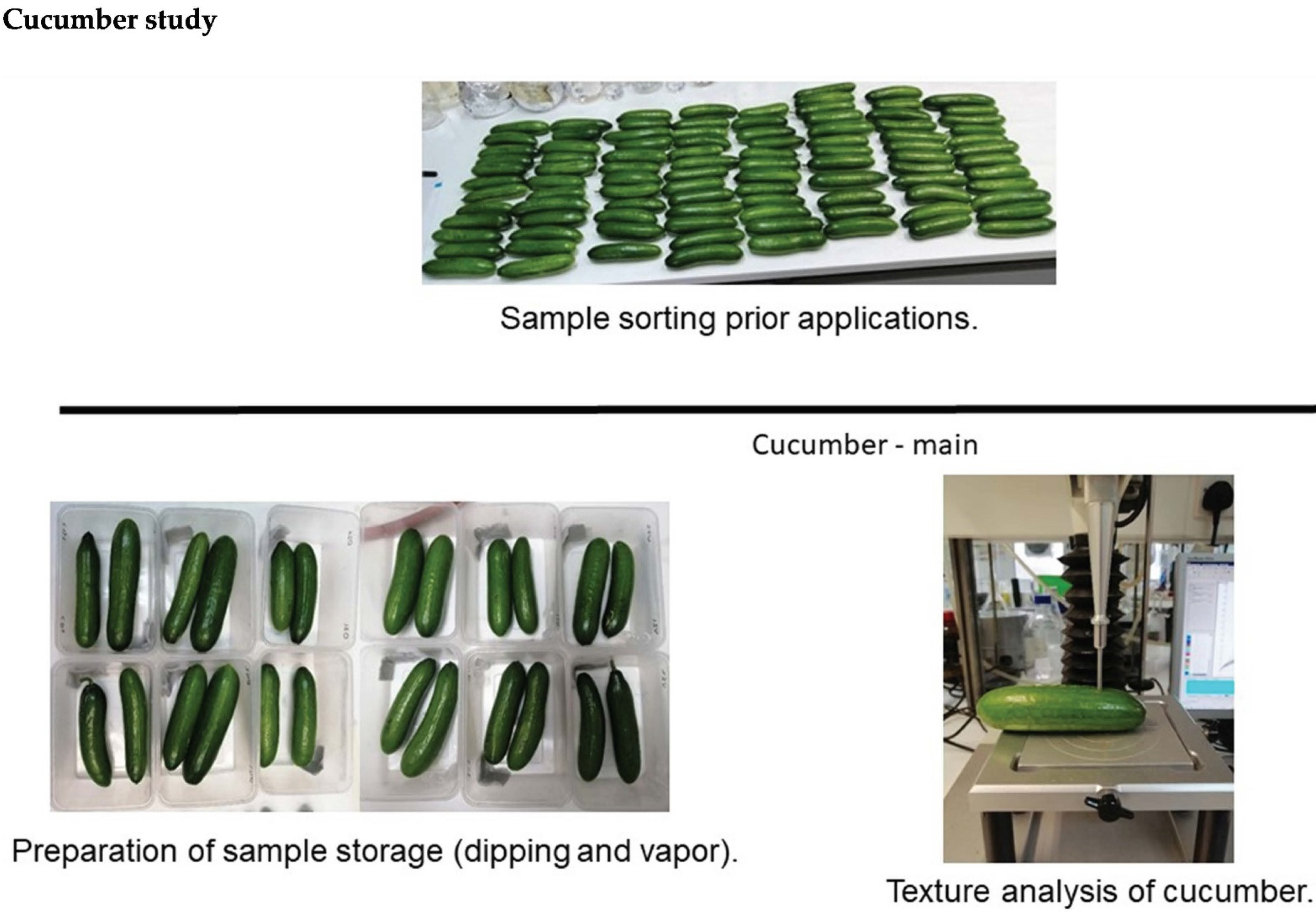 Horticulturae 08 00774 g0a2 Horticulturae 08 00774 g0a2