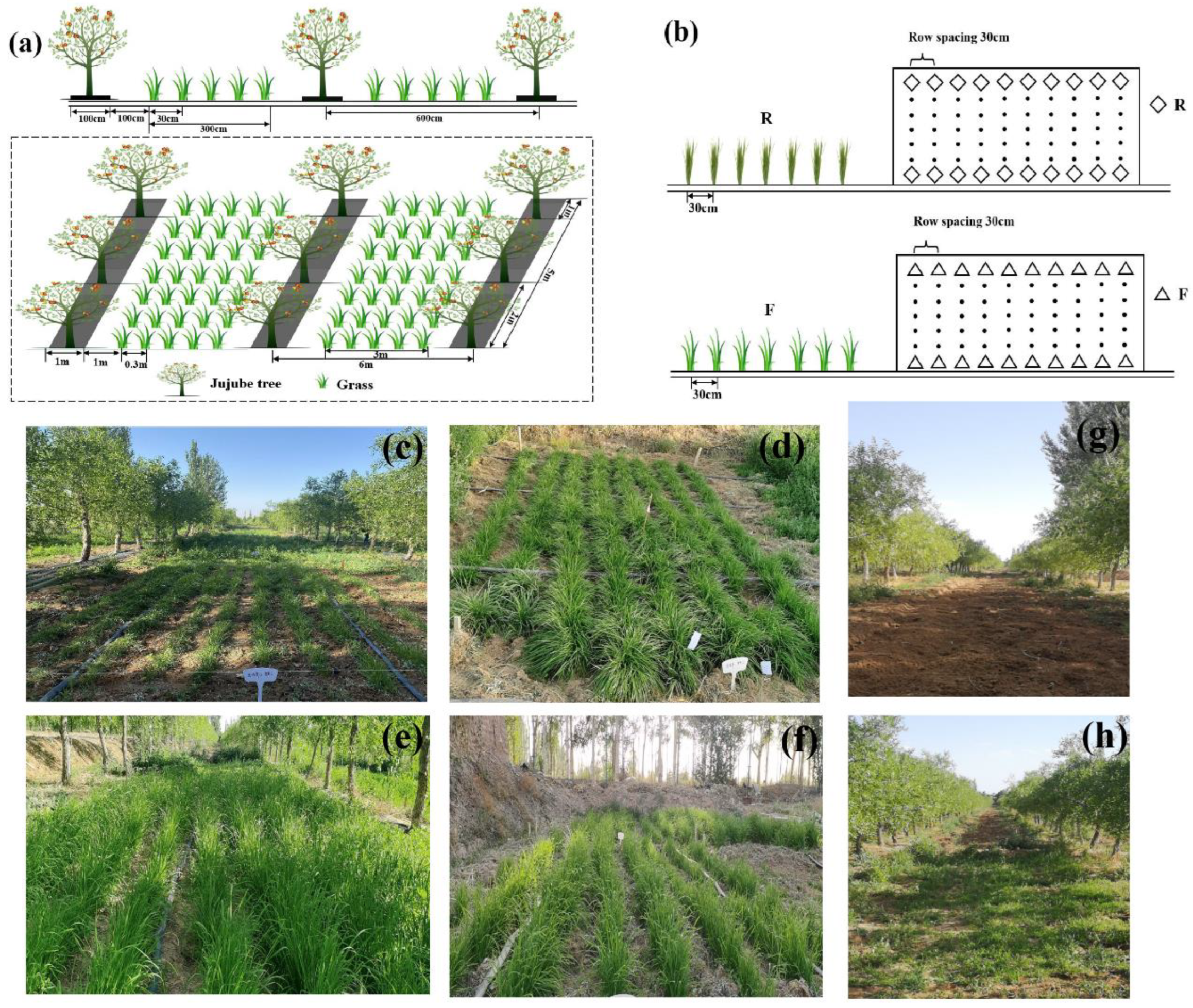 Horticulturae 08 00834 g002
