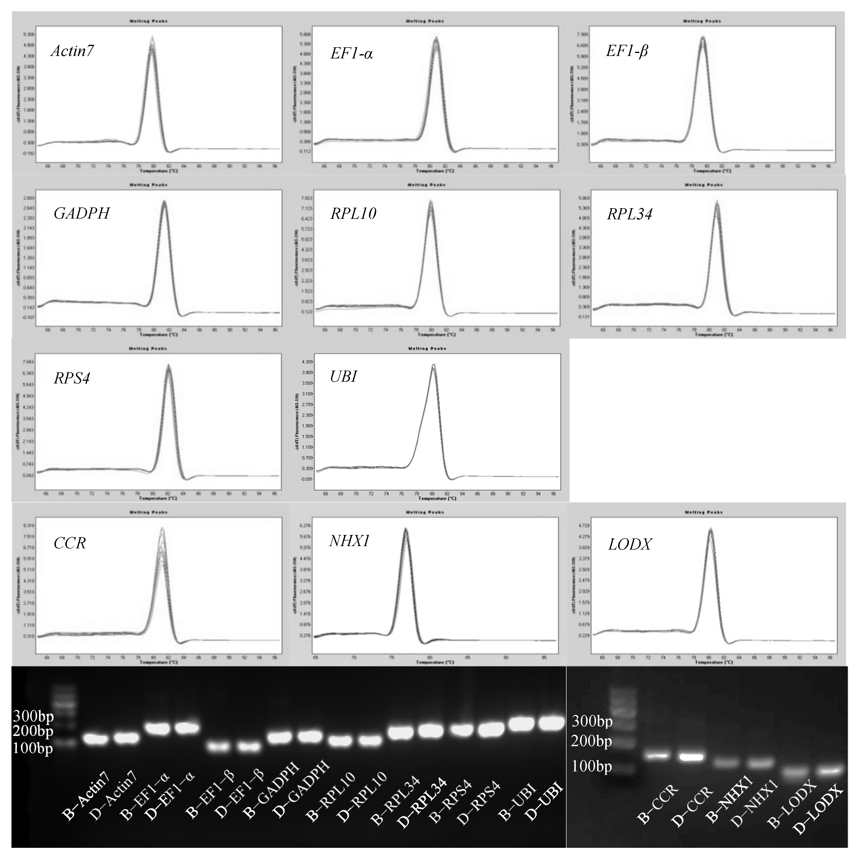 Horticulturae 08 00835 g002