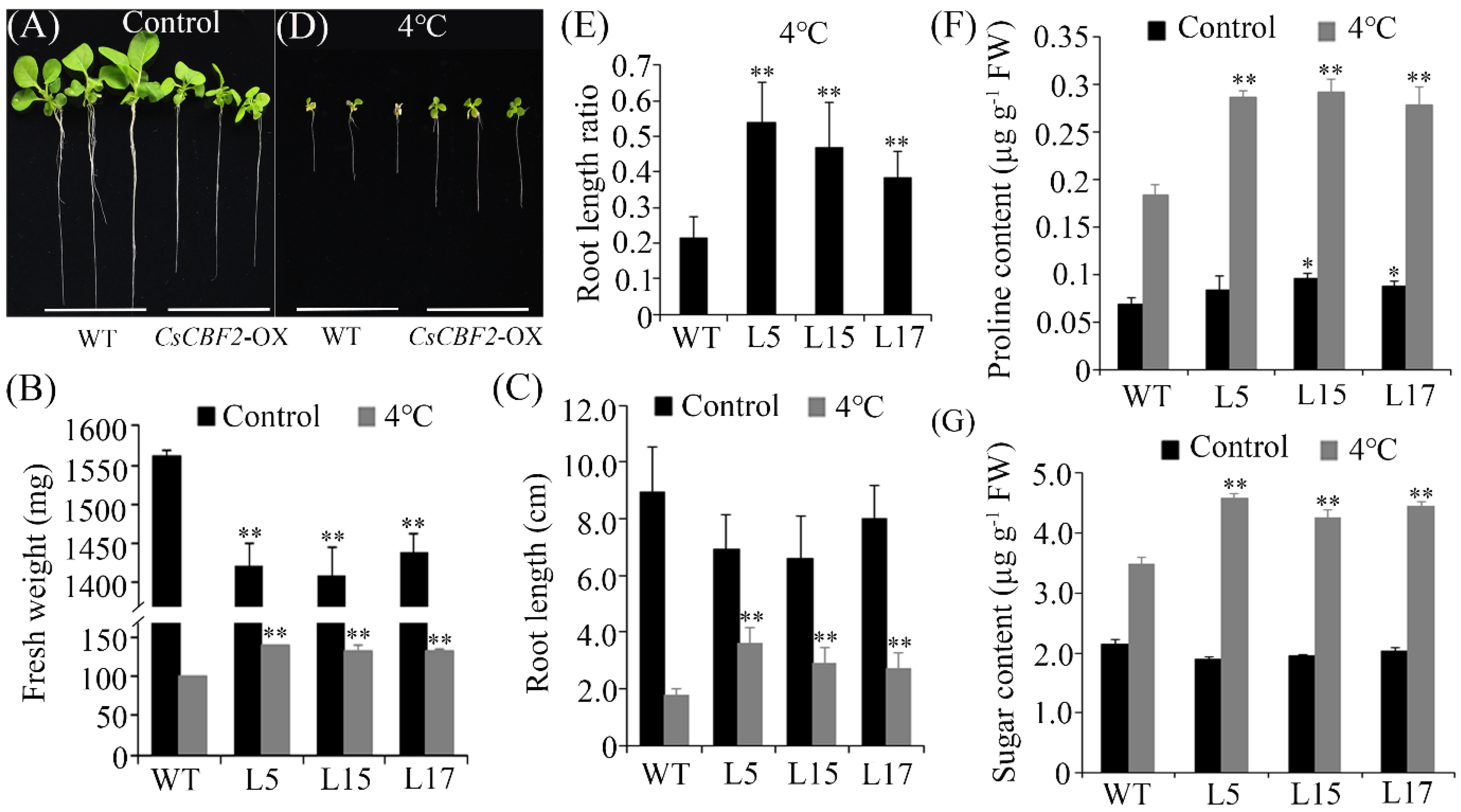 Horticulturae 08 00853 g005 Horticulturae 08 00853 g005