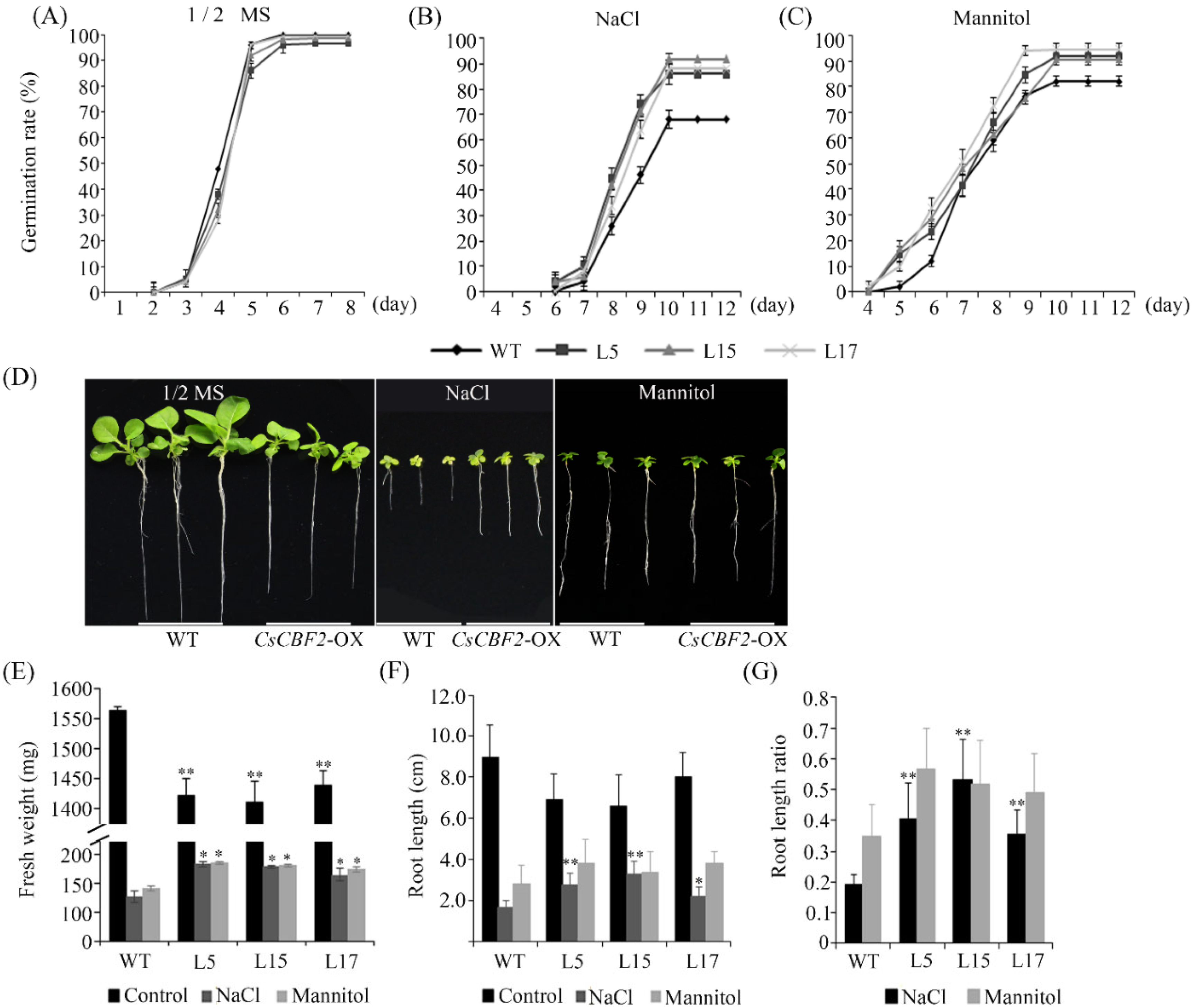 Horticulturae 08 00853 g007 Horticulturae 08 00853 g007