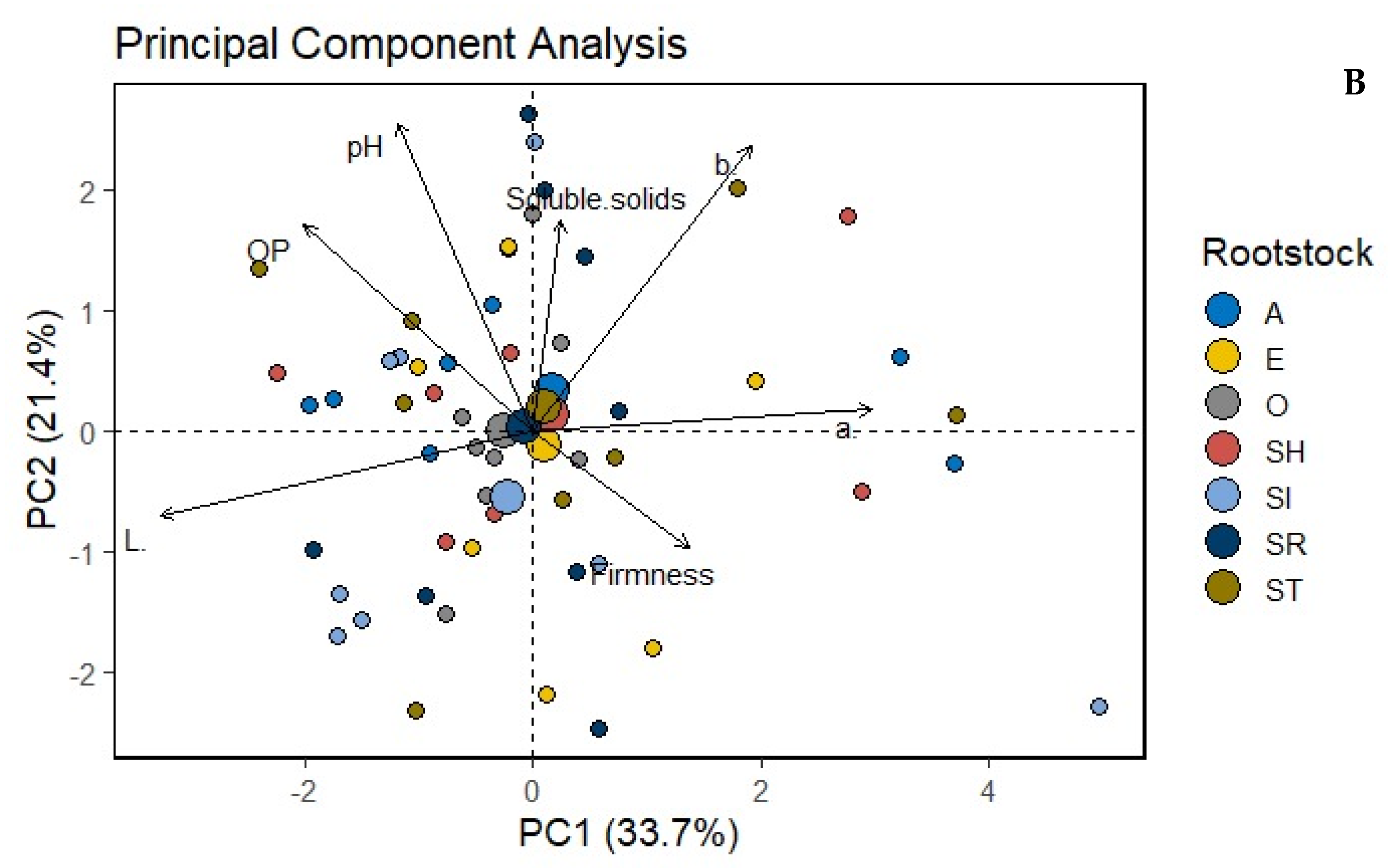 Horticulturae Free FullText Effects of Different Rootstocks and