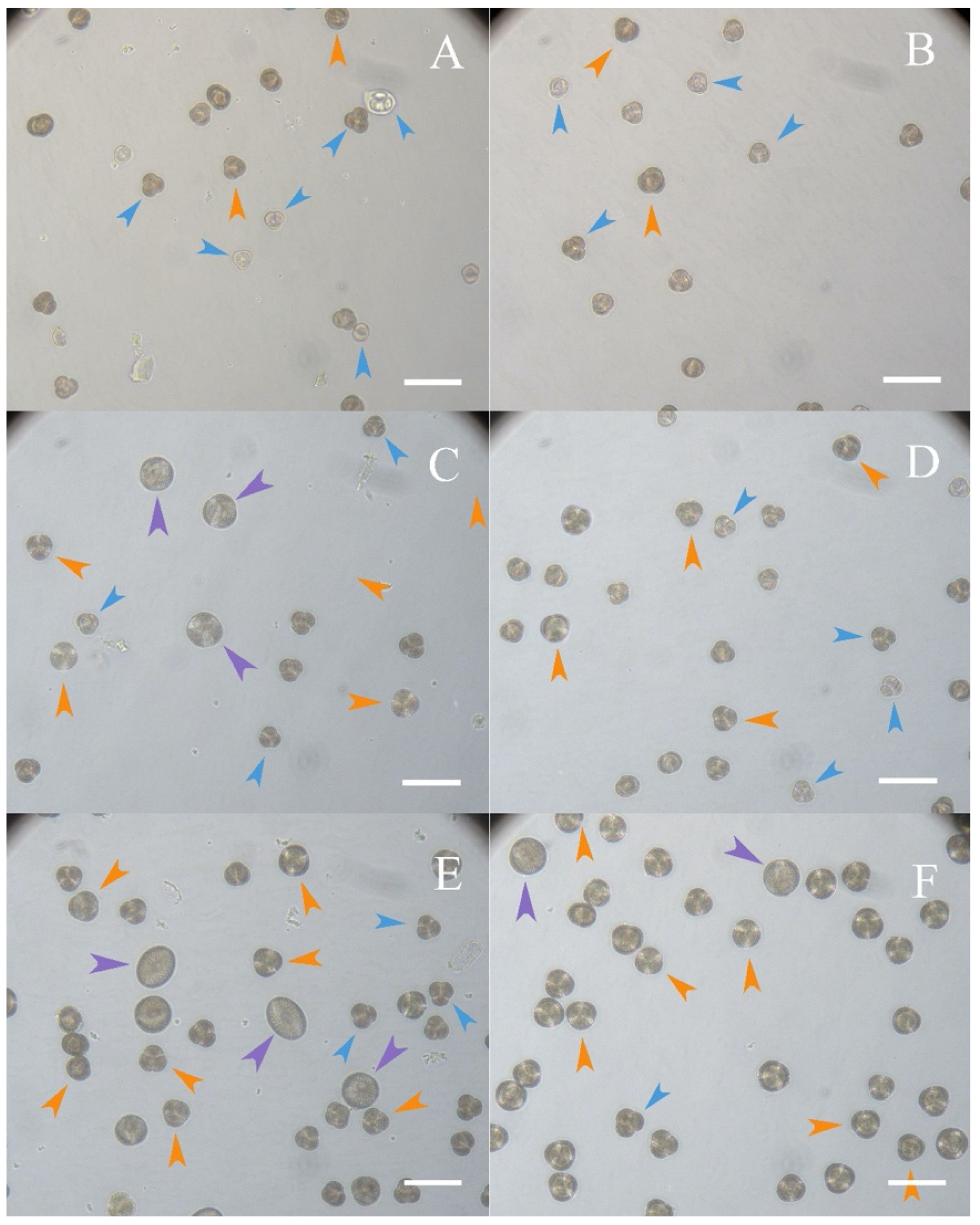 Horticulturae 08 00864 g002