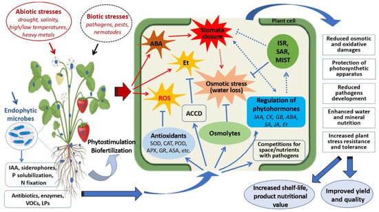 Sphagnum moss: A New Life, zhi lin wu posted on the topic