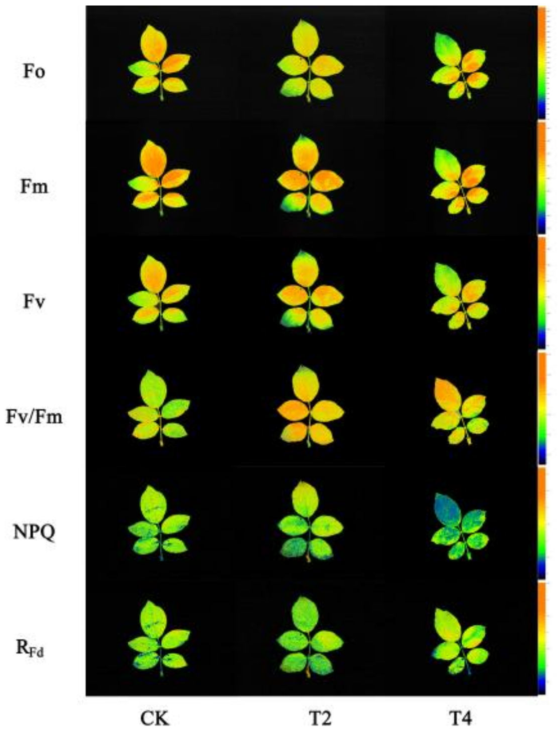 Horticulturae 08 00980 g001 Horticulturae 08 00980 g001