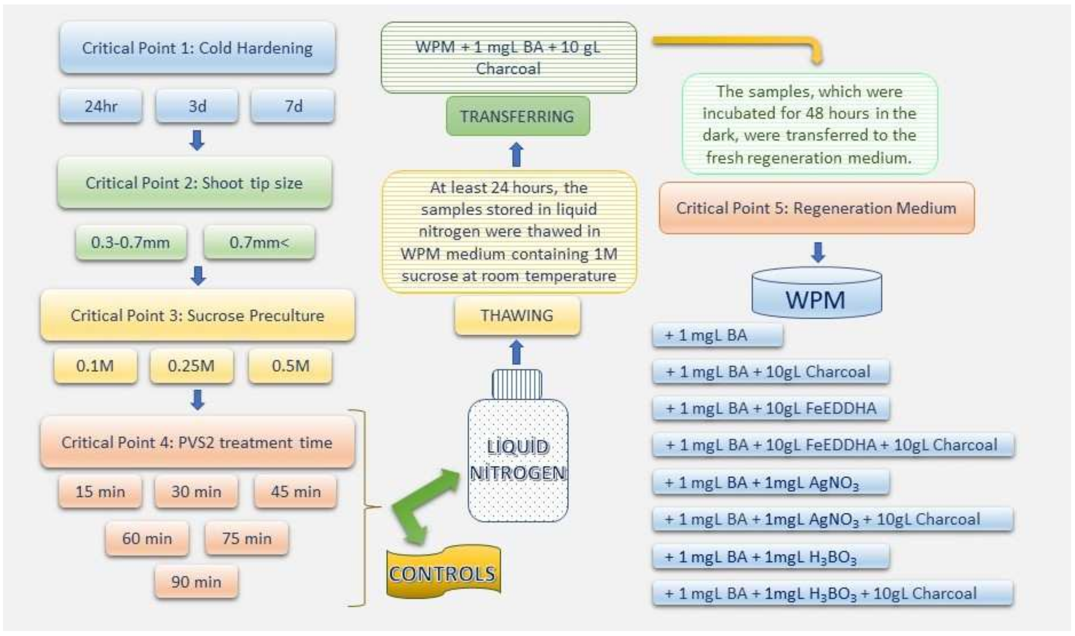 Horticulturae 08 00995 g002 Horticulturae 08 00995 g002