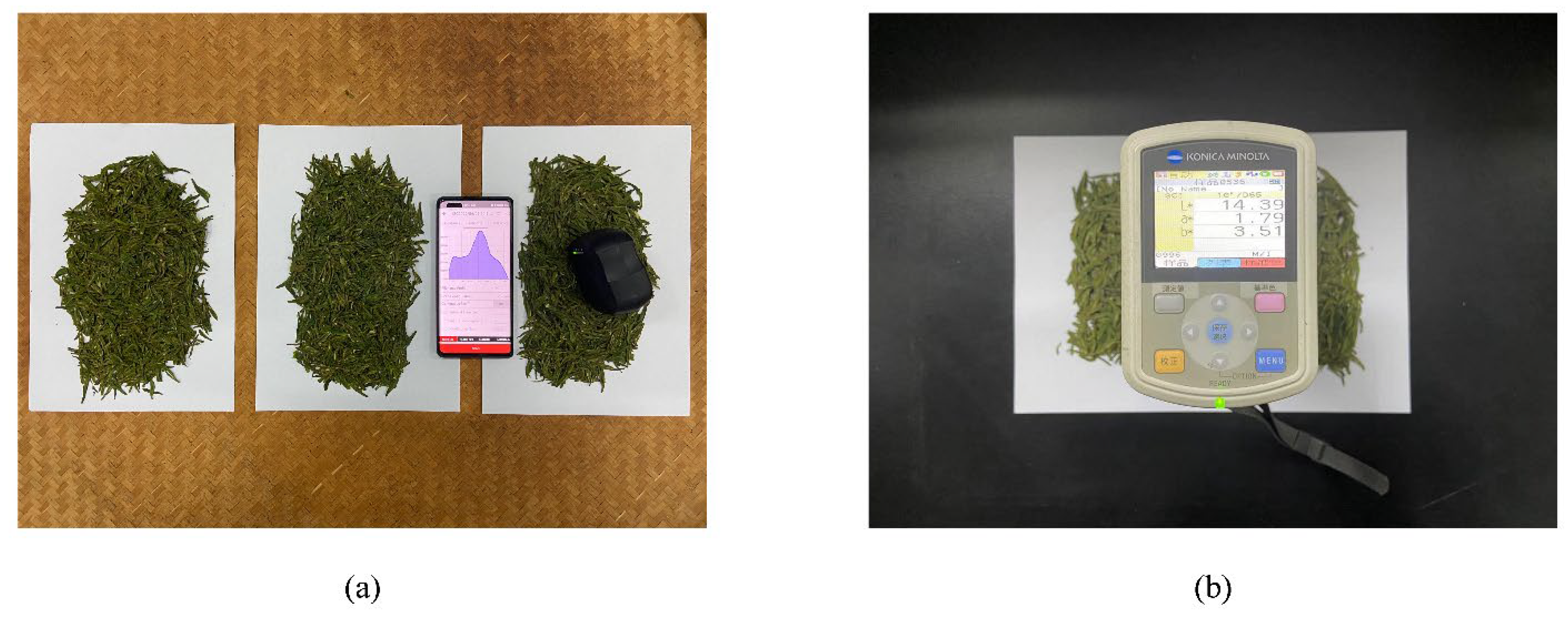 Horticulturae 08 01007 g001