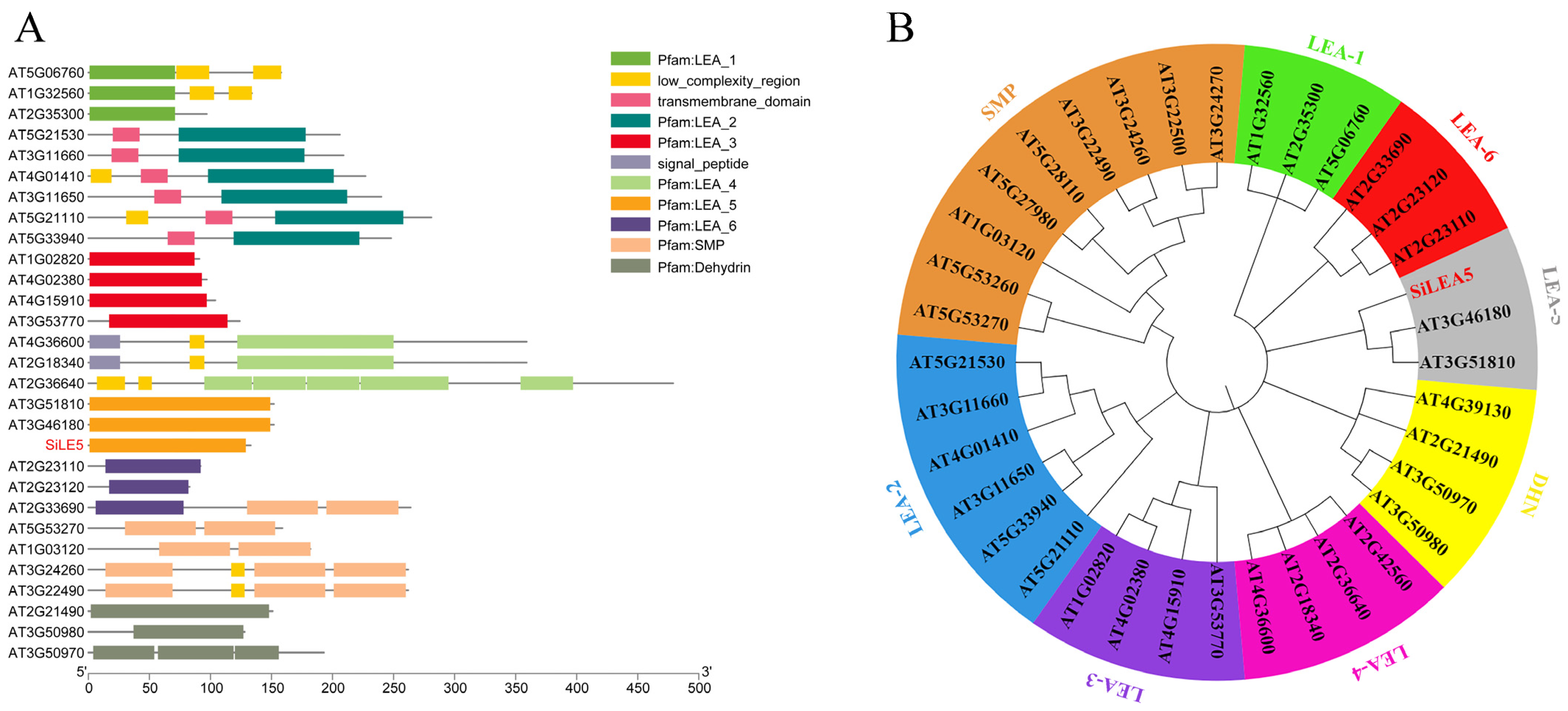 Horticulturae 08 01023 g001 Horticulturae 08 01023 g001
