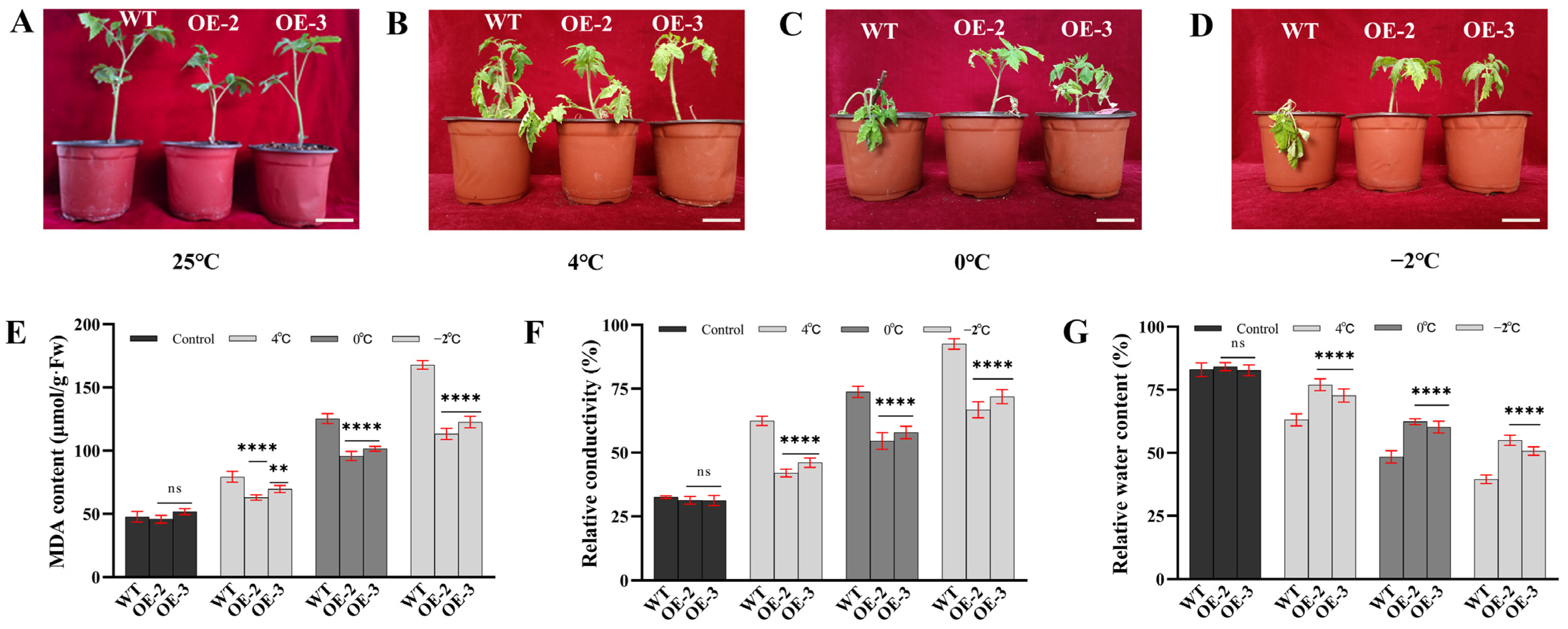 Horticulturae 08 01023 g002 Horticulturae 08 01023 g002