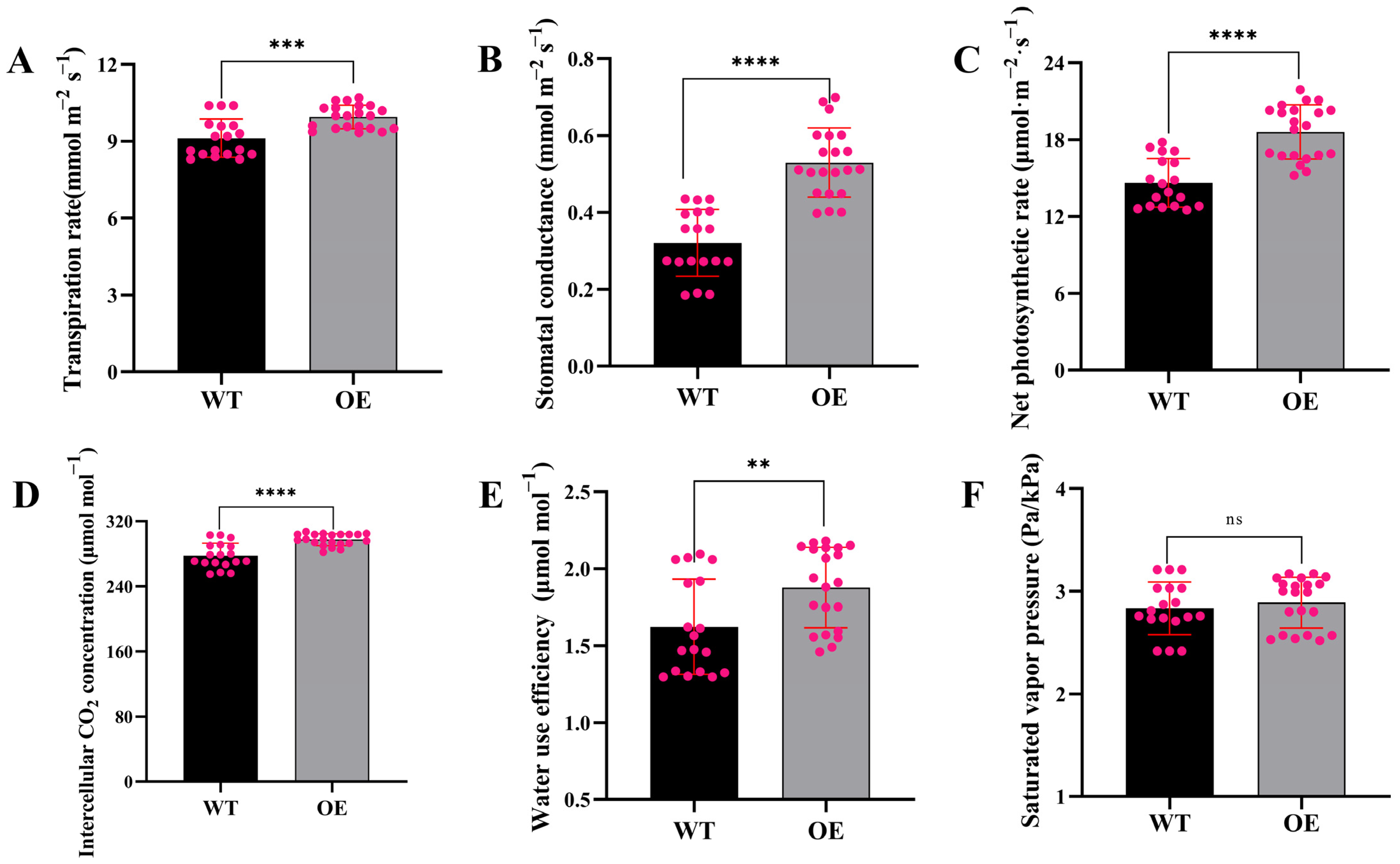 Horticulturae 08 01023 g004 Horticulturae 08 01023 g004