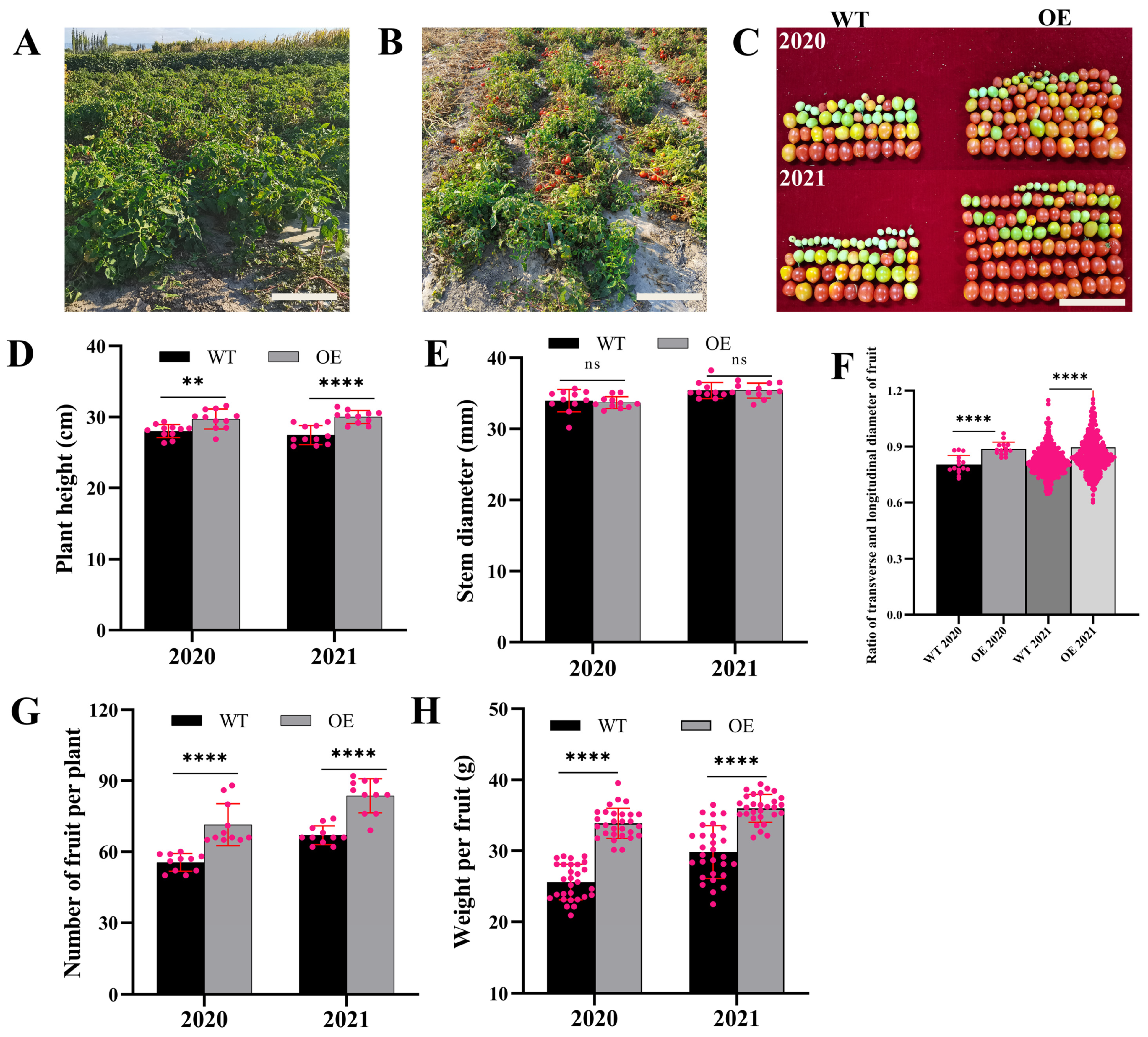 Horticulturae 08 01023 g005 Horticulturae 08 01023 g005