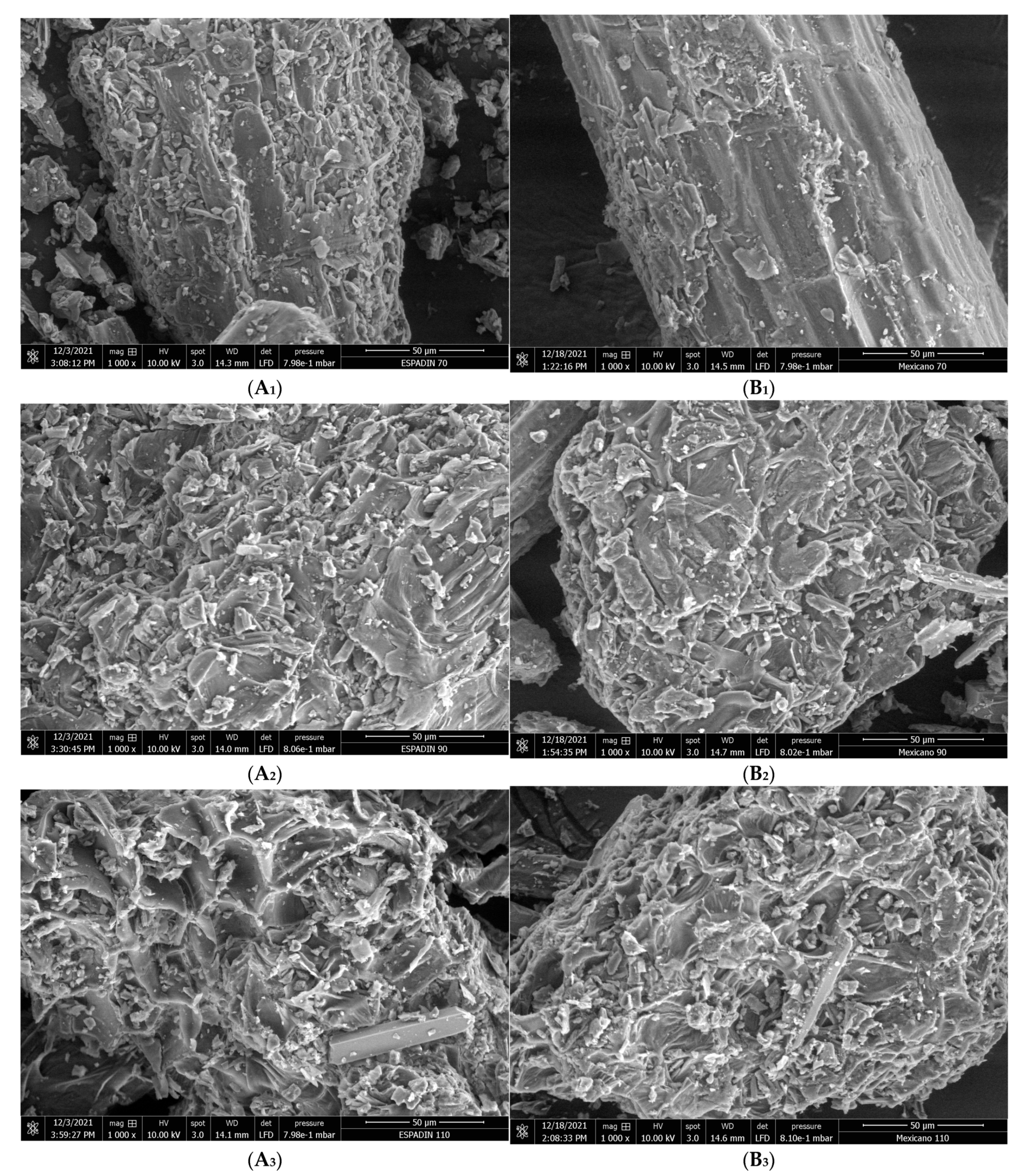 PDF) The Effects of Agave fourcroydes Powder as a Dietary