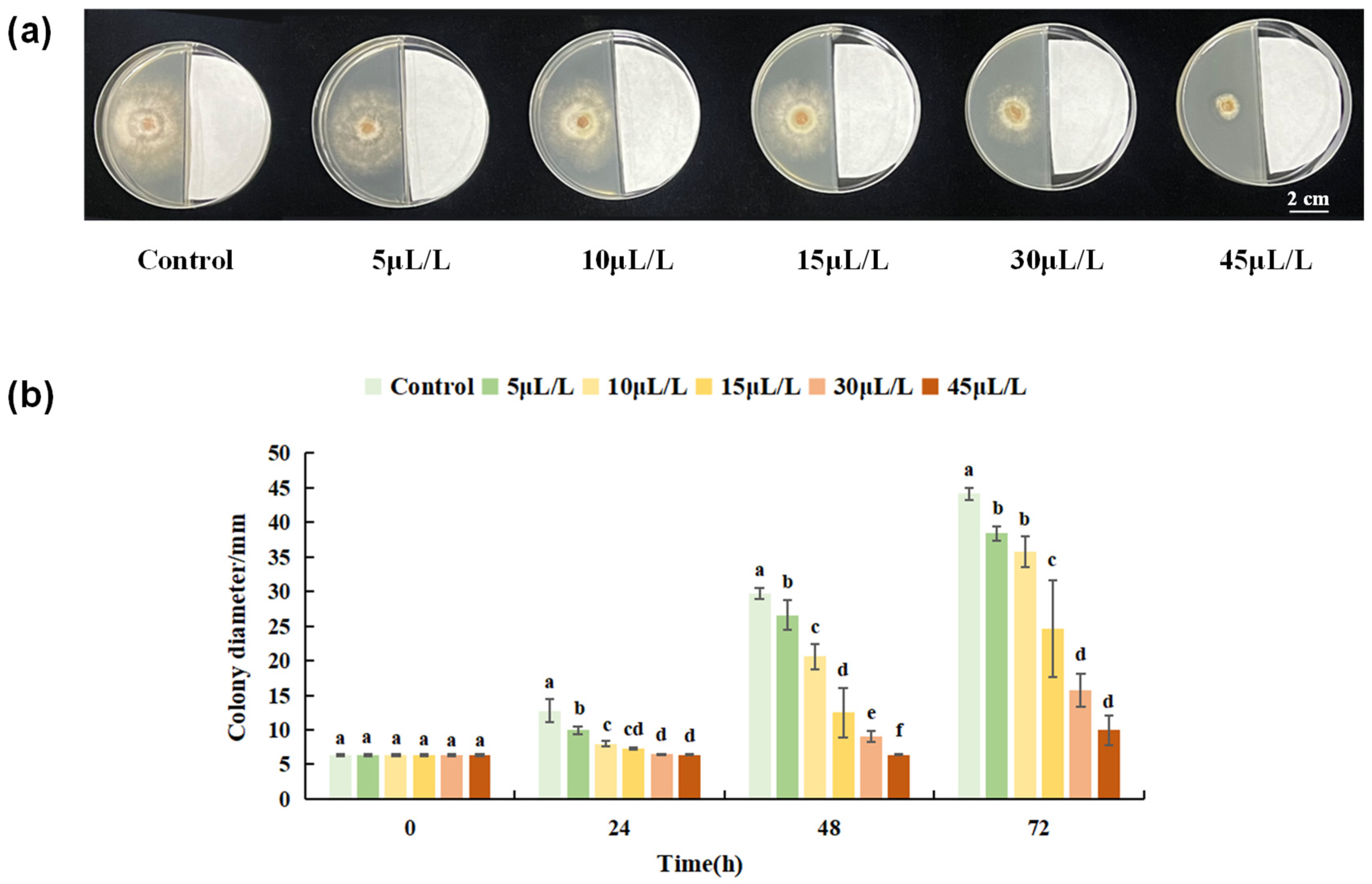 Horticulturae 08 01074 g001