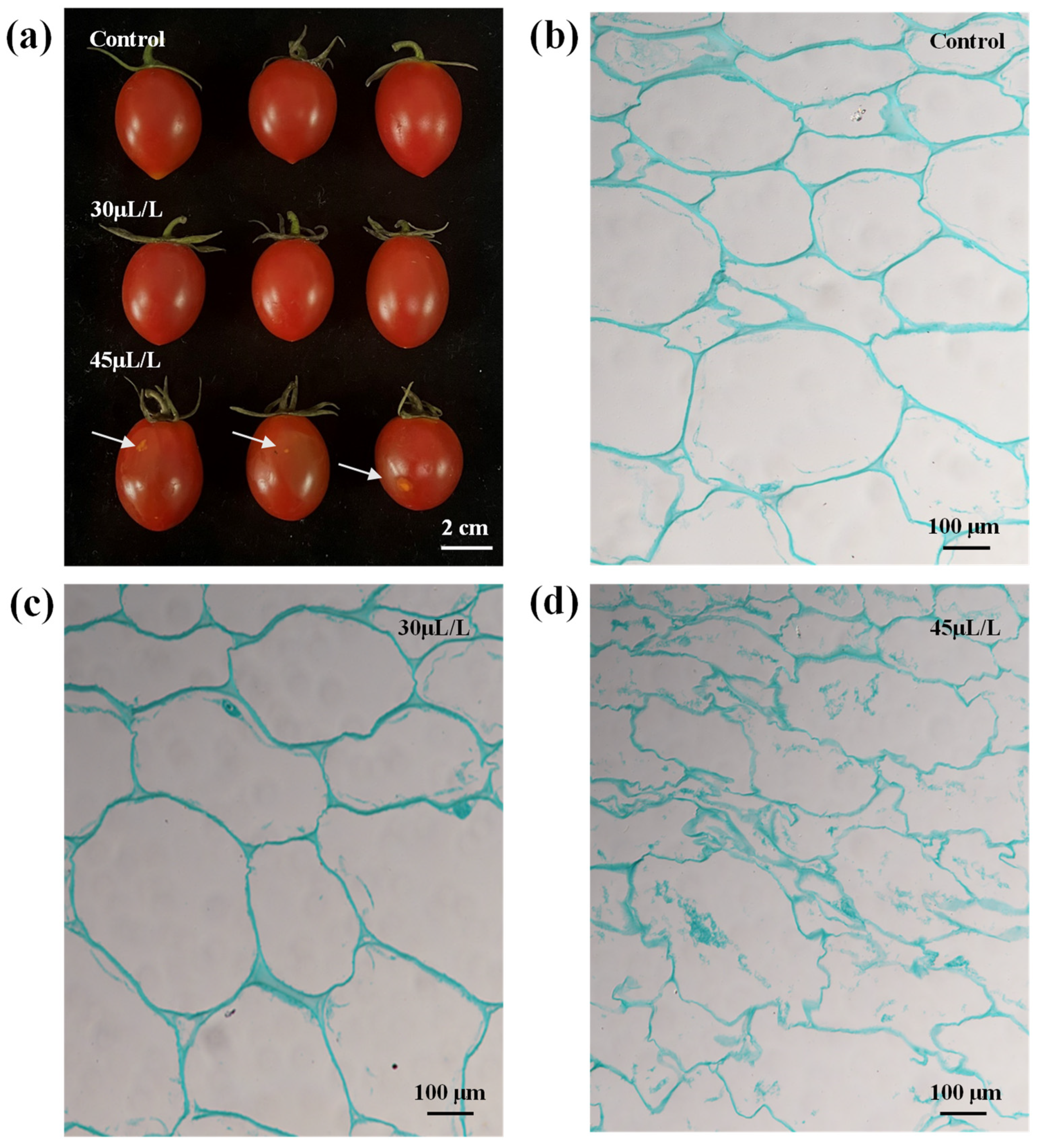 Horticulturae 08 01074 g002