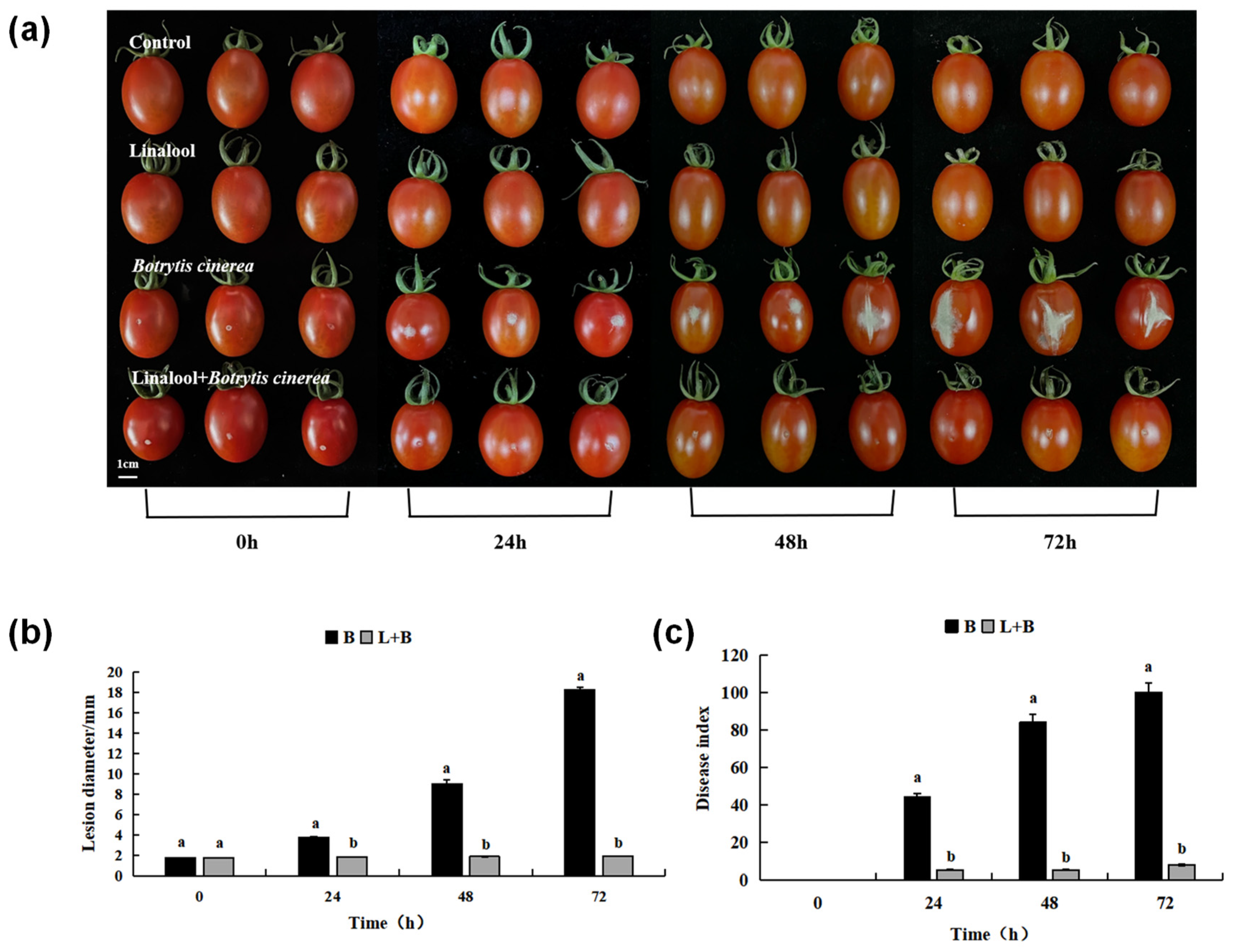 Horticulturae 08 01074 g003