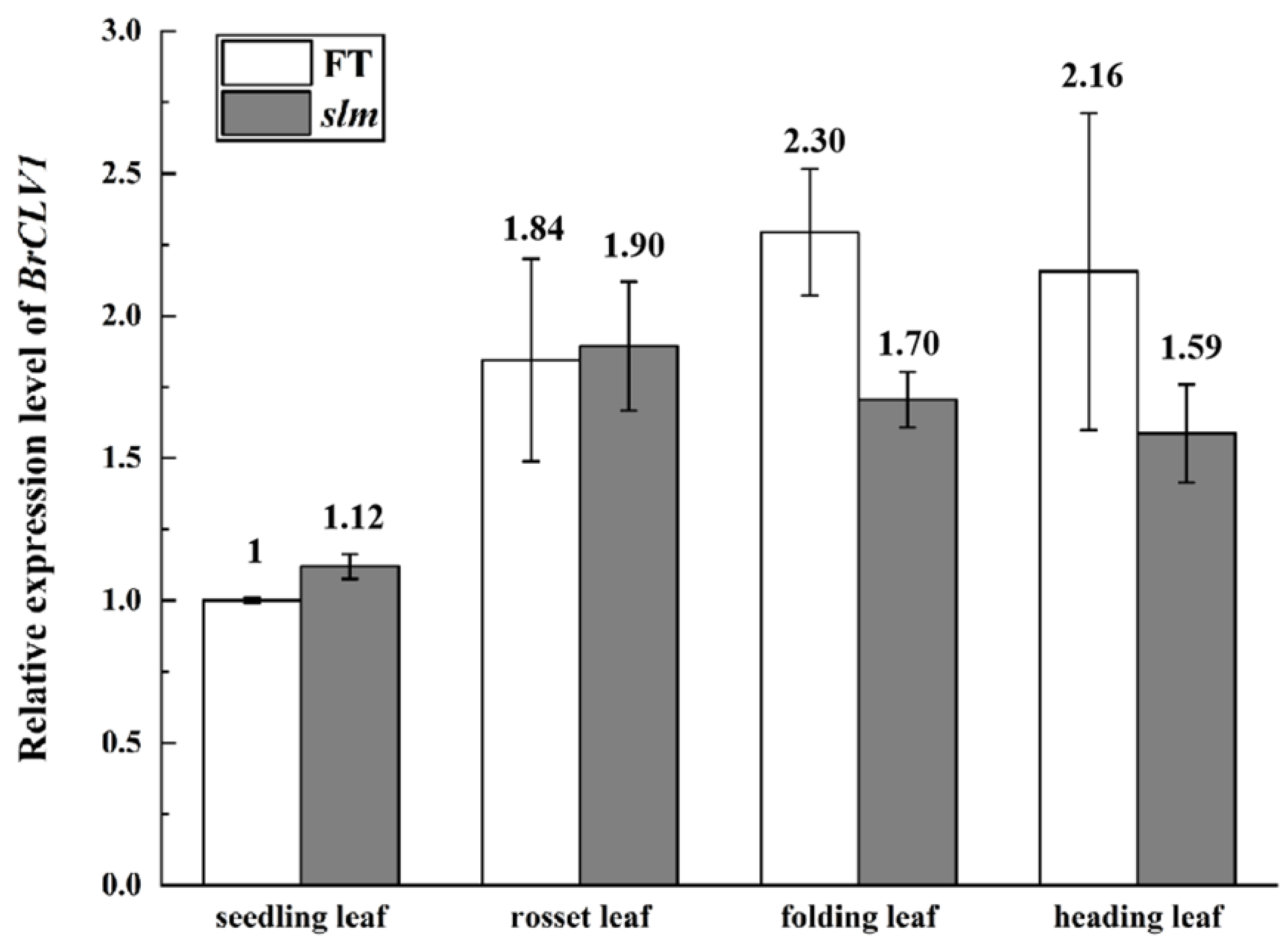 Genome-wide transcriptome analysis reveals molecular pathways involved in  leafy head formation of Chinese cabbage (Brassica rapa)