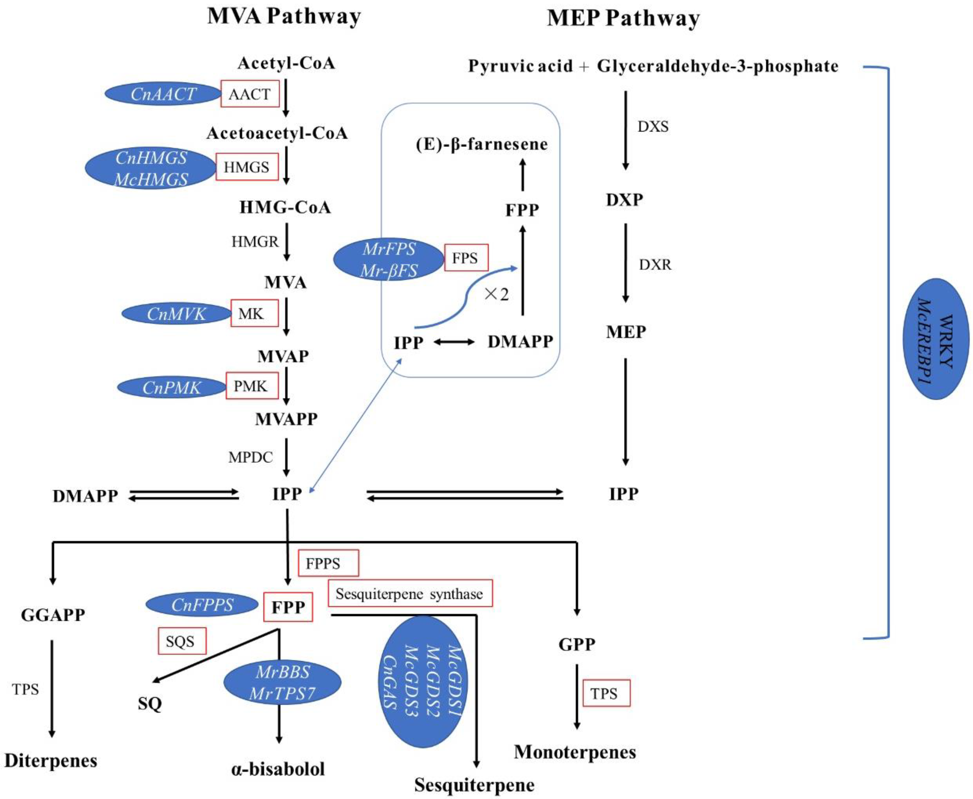 Horticulturae 08 01135 g001