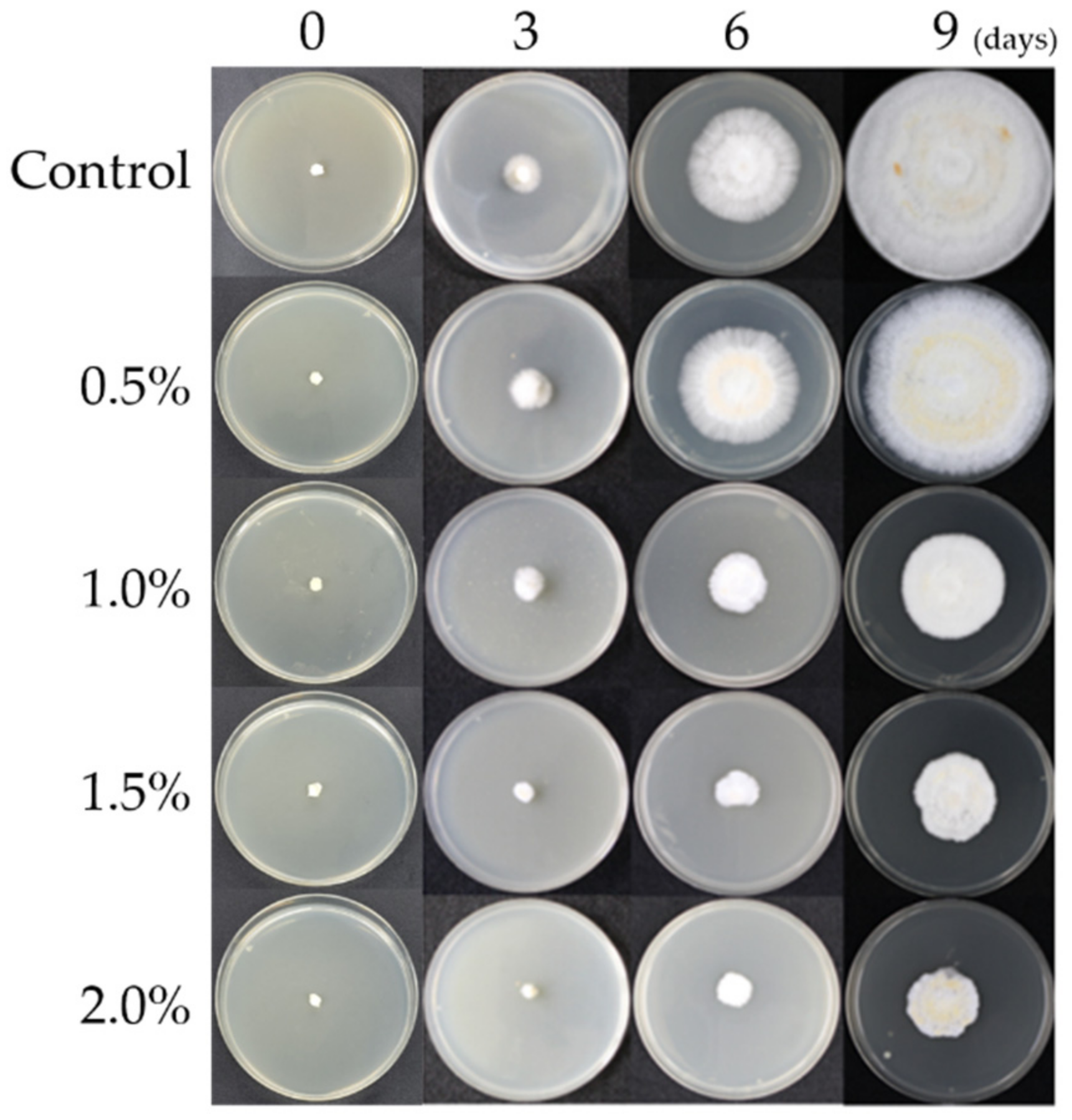 Horticulturae 08 01147 g001 Horticulturae 08 01147 g001