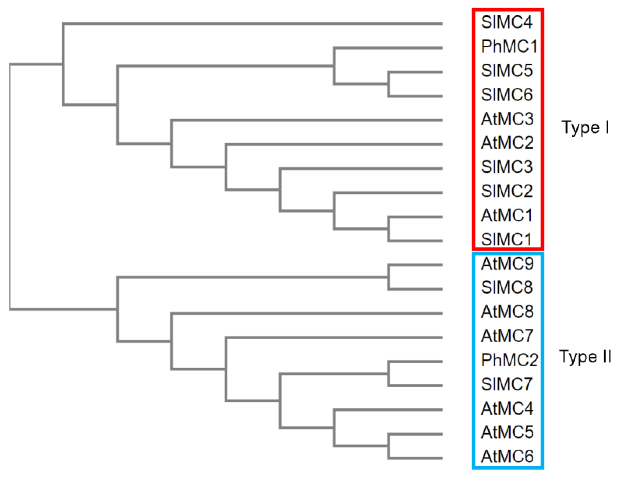 Horticulturae 08 01151 g001