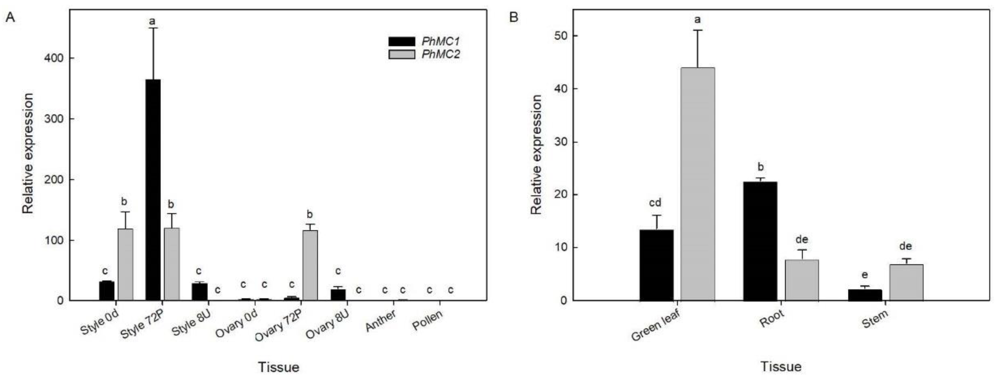 Horticulturae 08 01151 g004