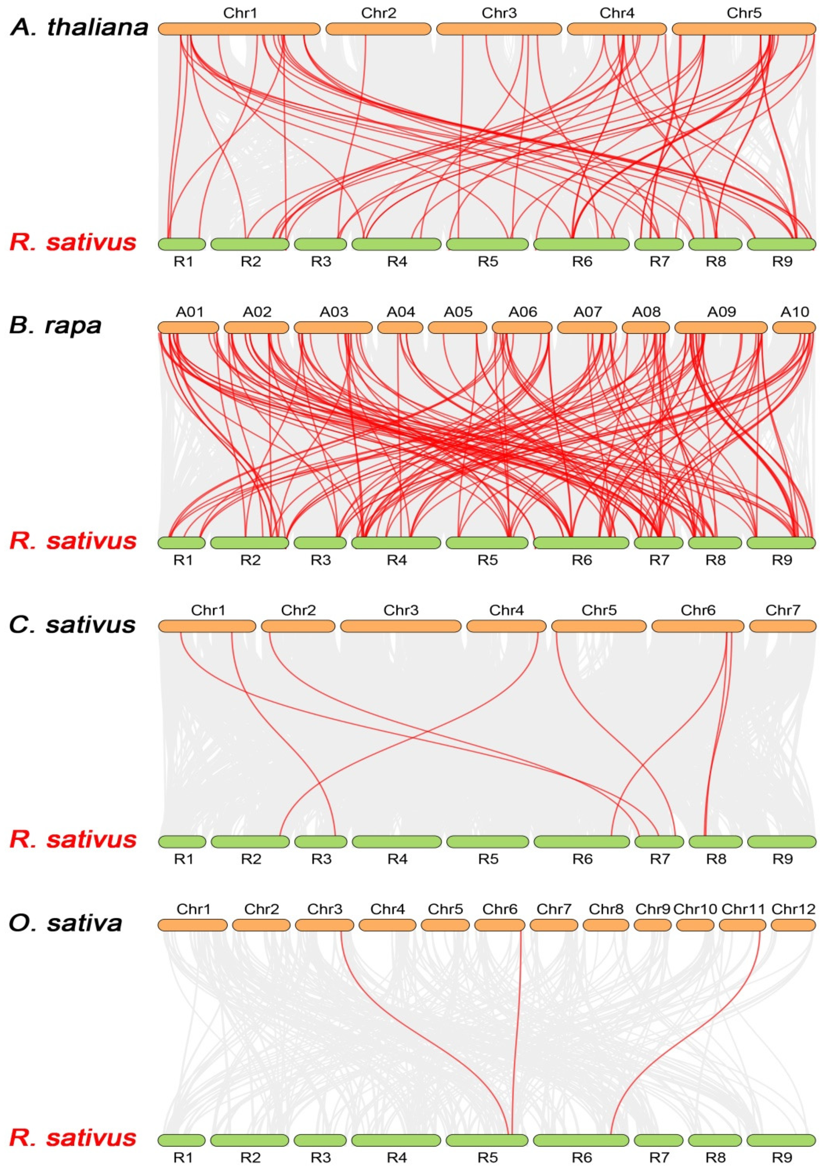 Horticulturae 08 01164 g004 Horticulturae 08 01164 g004