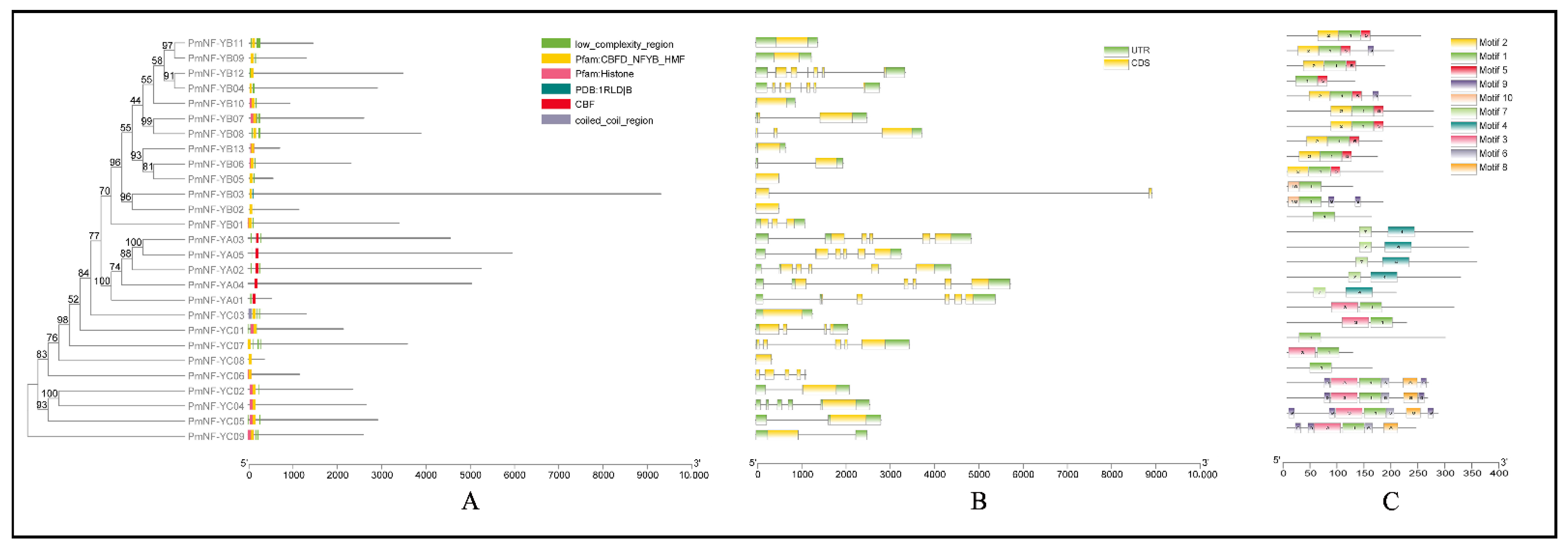 Horticulturae 08 01180 g002 Horticulturae 08 01180 g002
