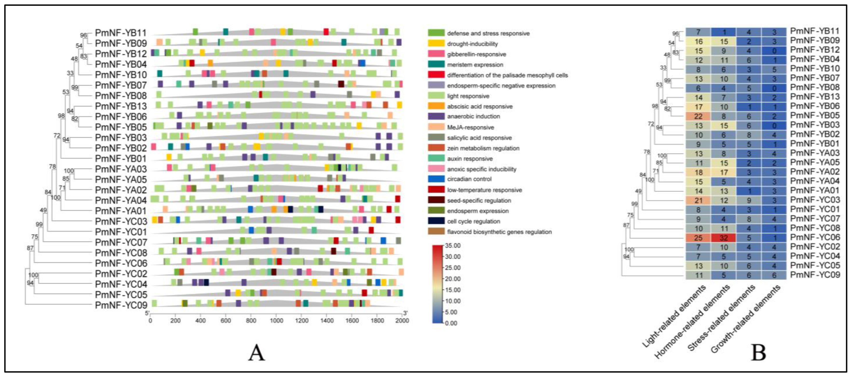 Horticulturae 08 01180 g004 Horticulturae 08 01180 g004