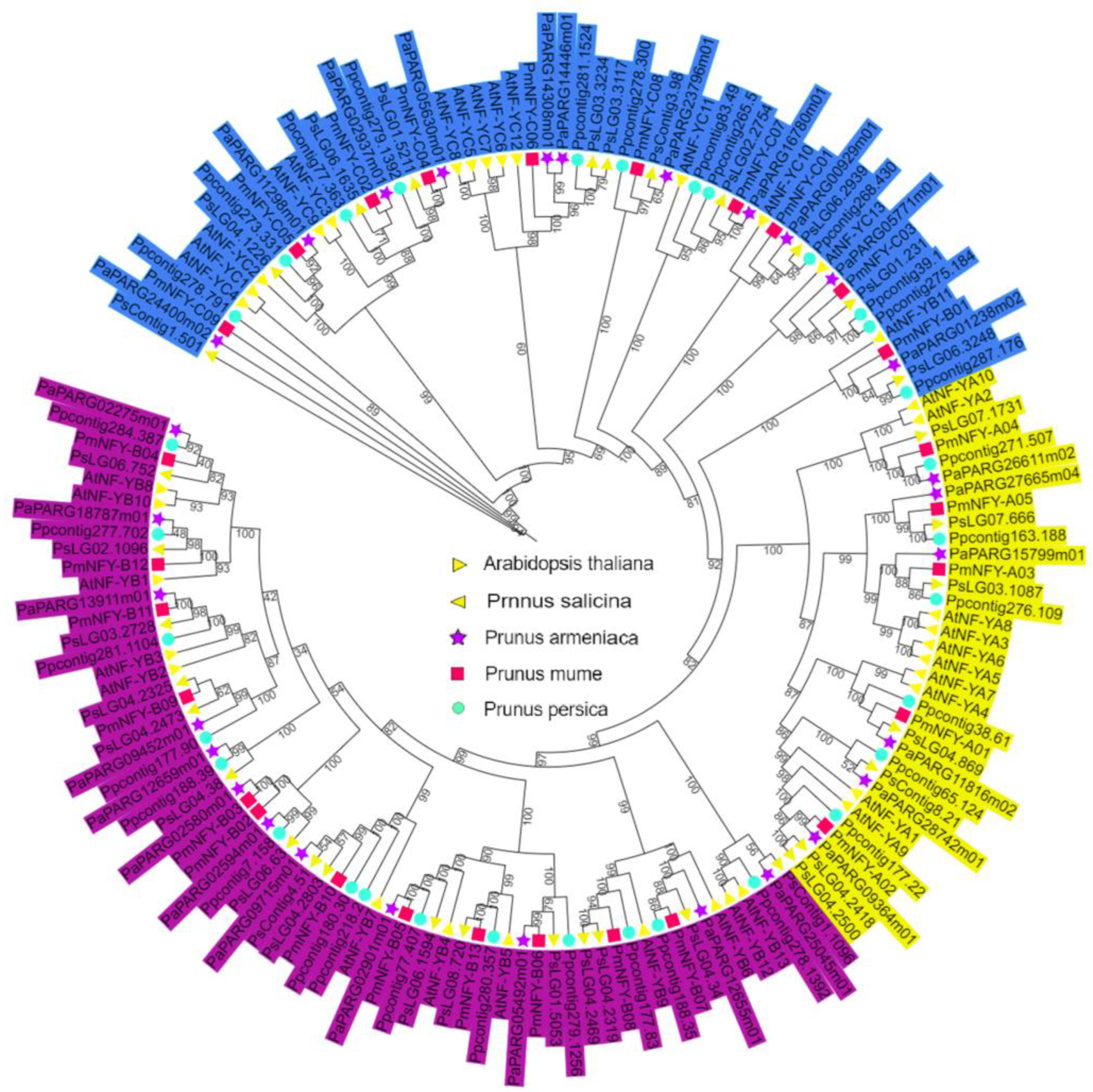 Horticulturae 08 01180 g006 Horticulturae 08 01180 g006