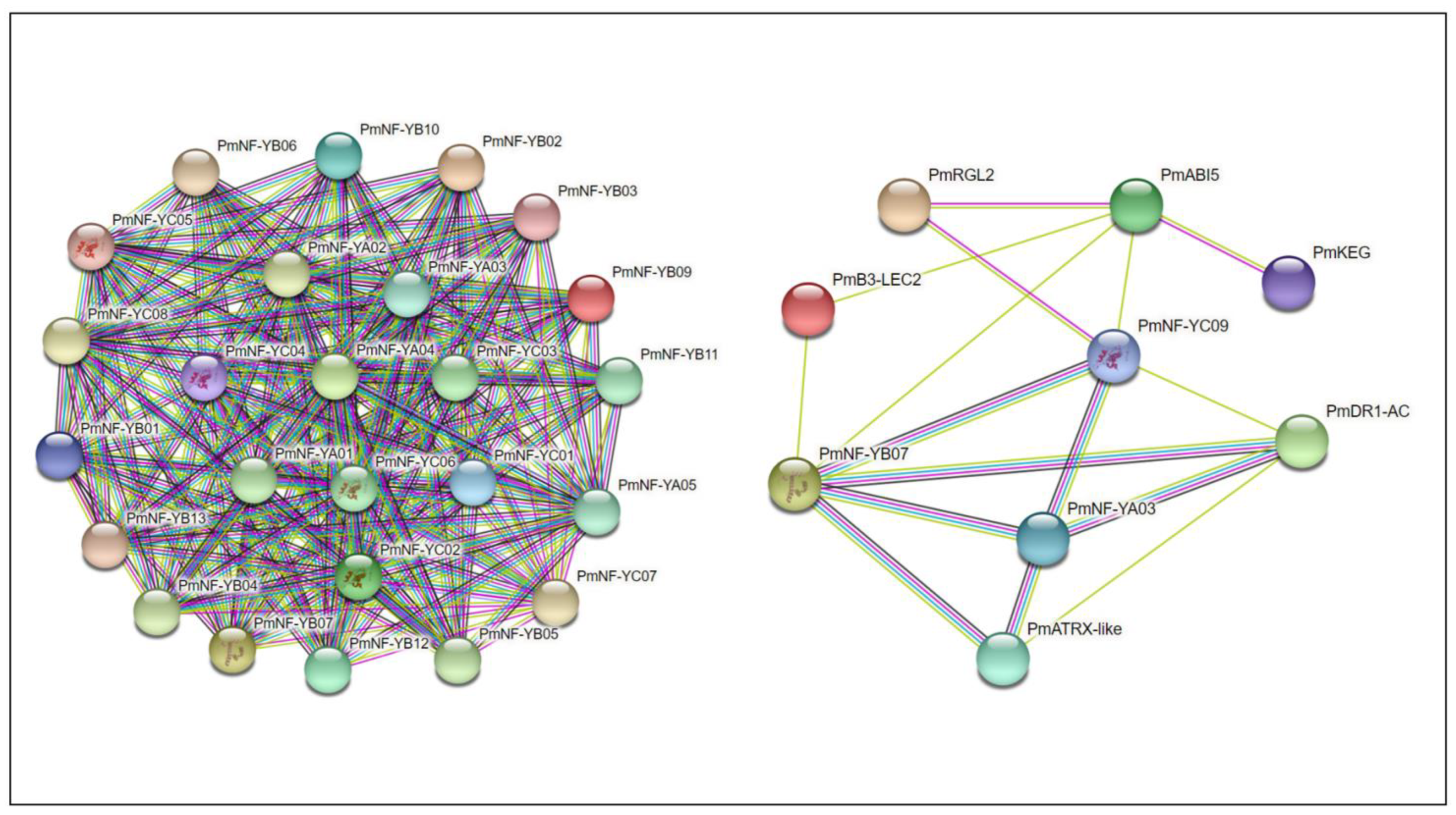 Horticulturae 08 01180 g007 Horticulturae 08 01180 g007