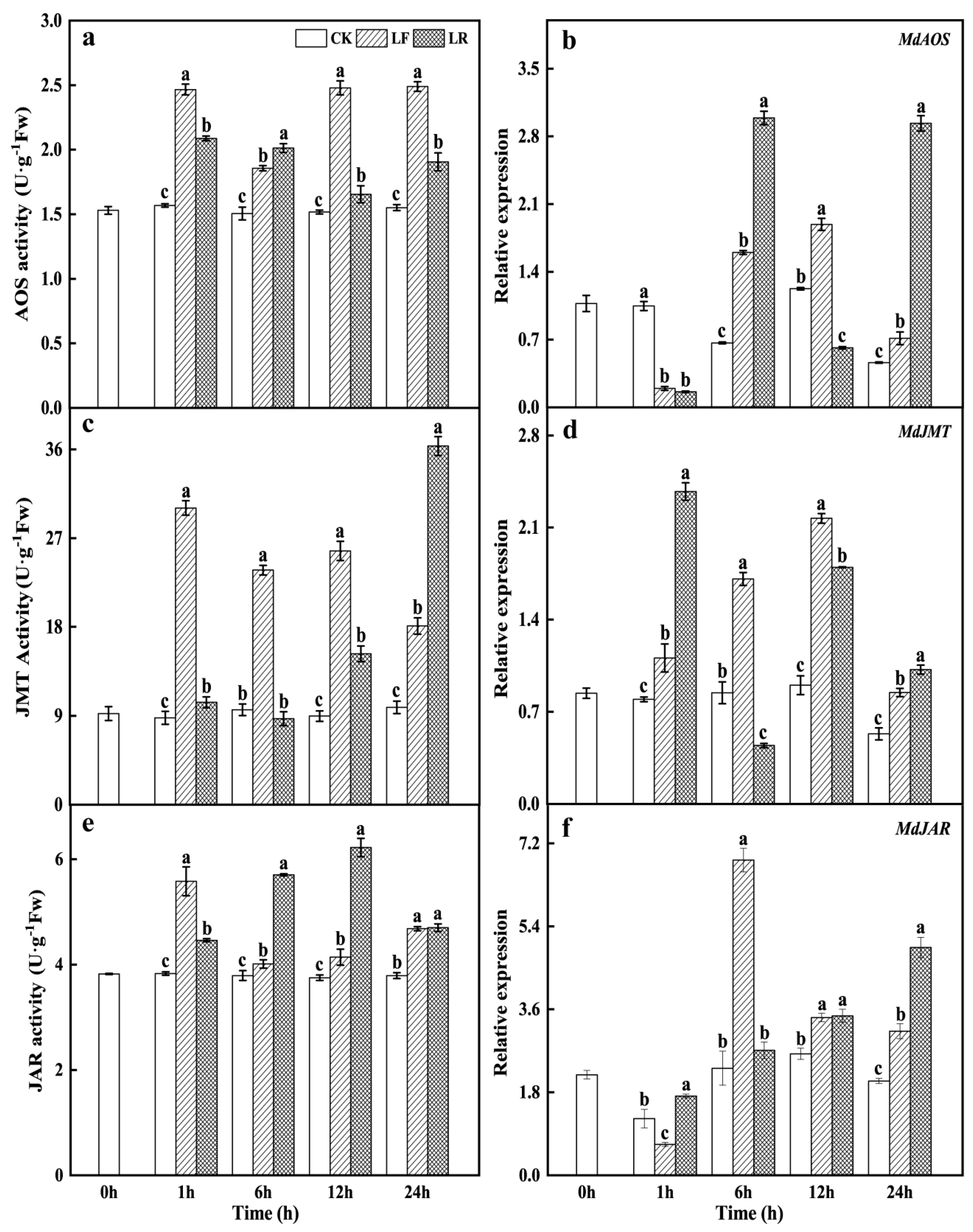 Horticulturae 08 01205 g002