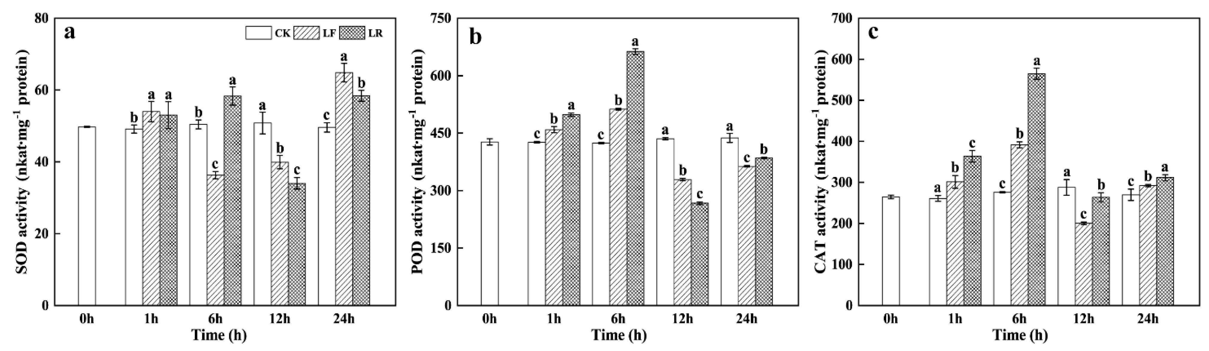 Horticulturae 08 01205 g004