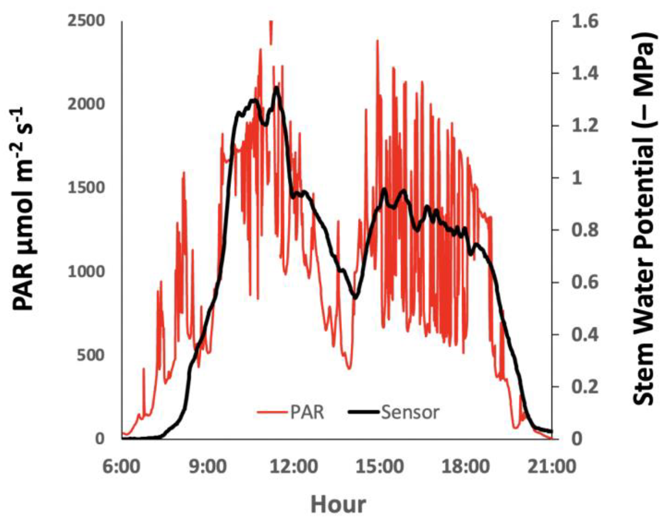 Horticulturae 08 01207 g005 Horticulturae 08 01207 g005