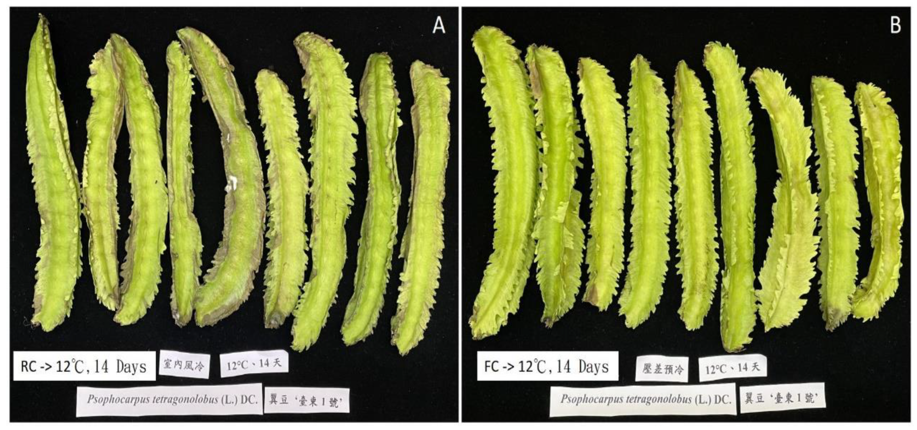 Horticulturae 09 00045 g004