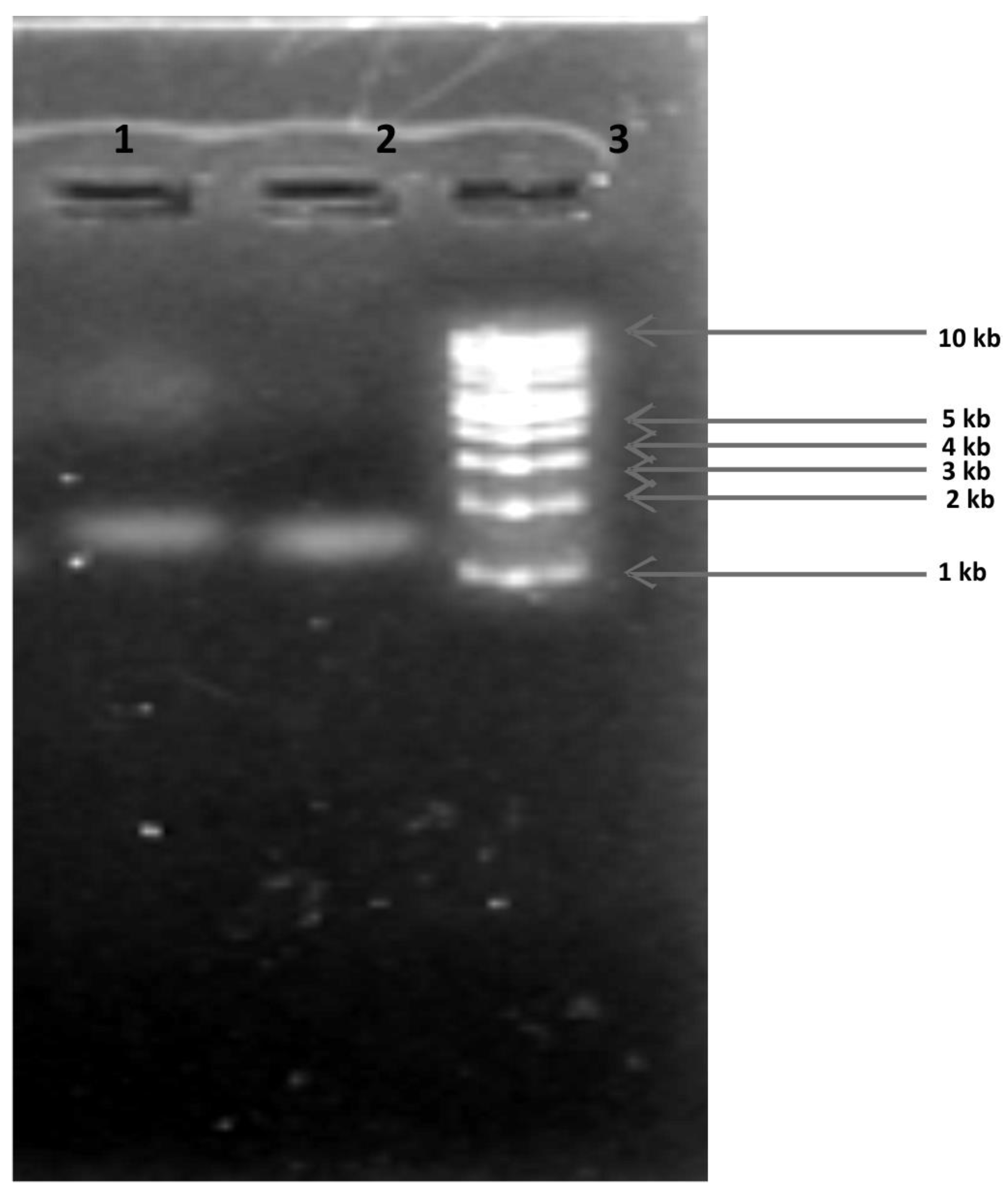 Horticulturae 09 00046 g002 Horticulturae 09 00046 g002