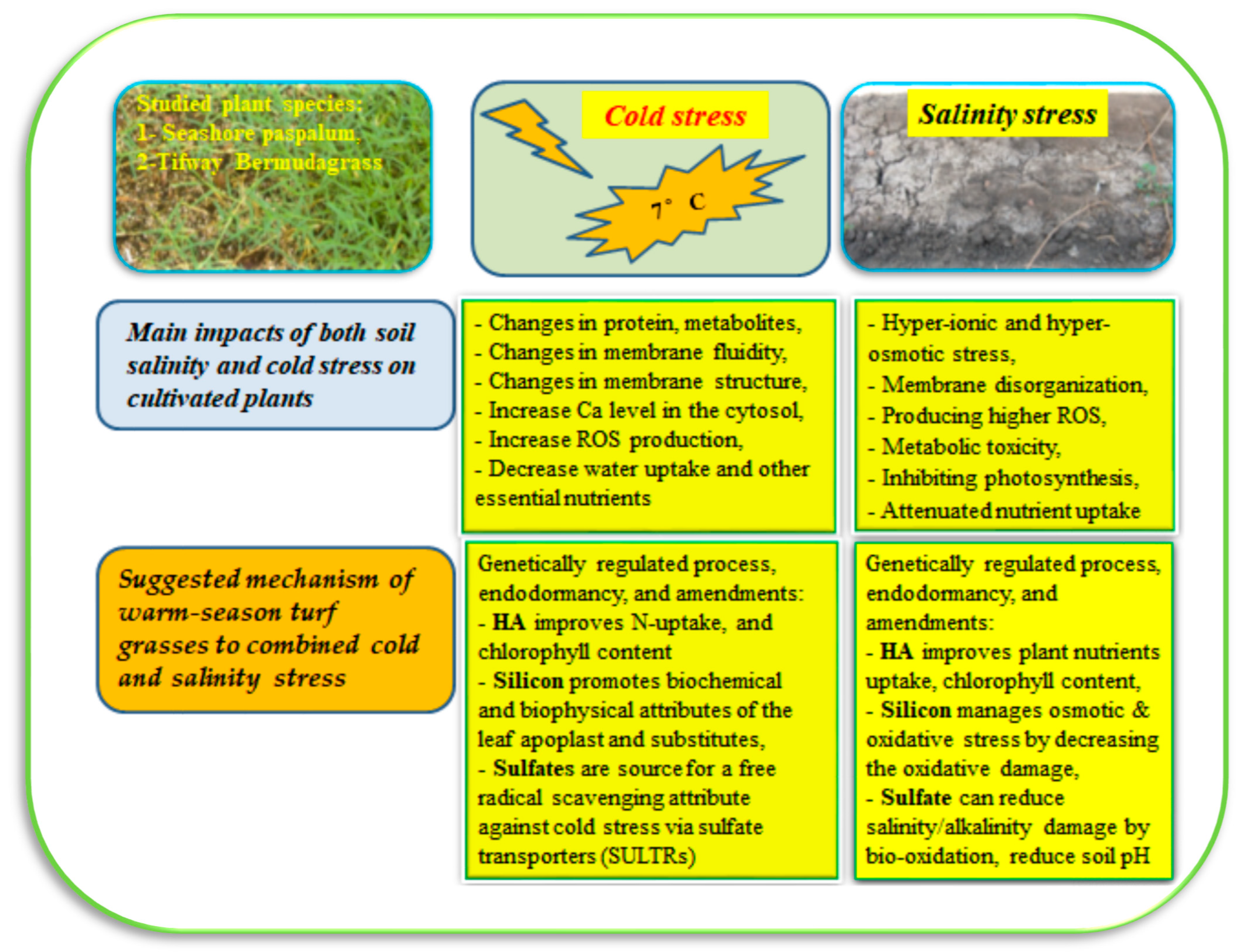 Horticulturae 09 00049 g006