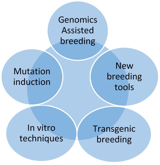 Transgenic and genome-edited fruits: background, constraints, benefits, and  commercial opportunities