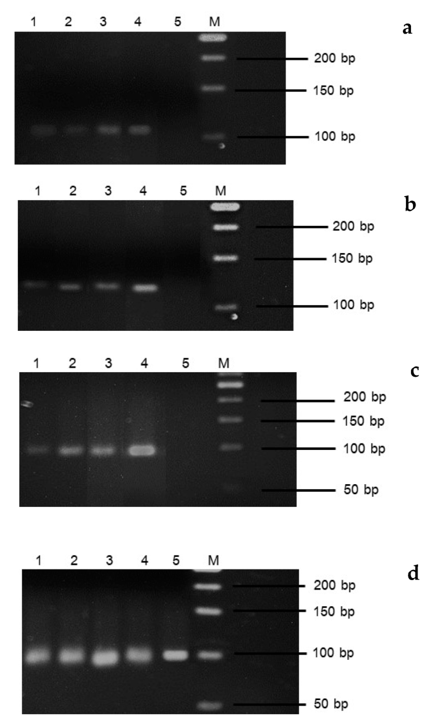 Horticulturae 09 00087 g002 Horticulturae 09 00087 g002