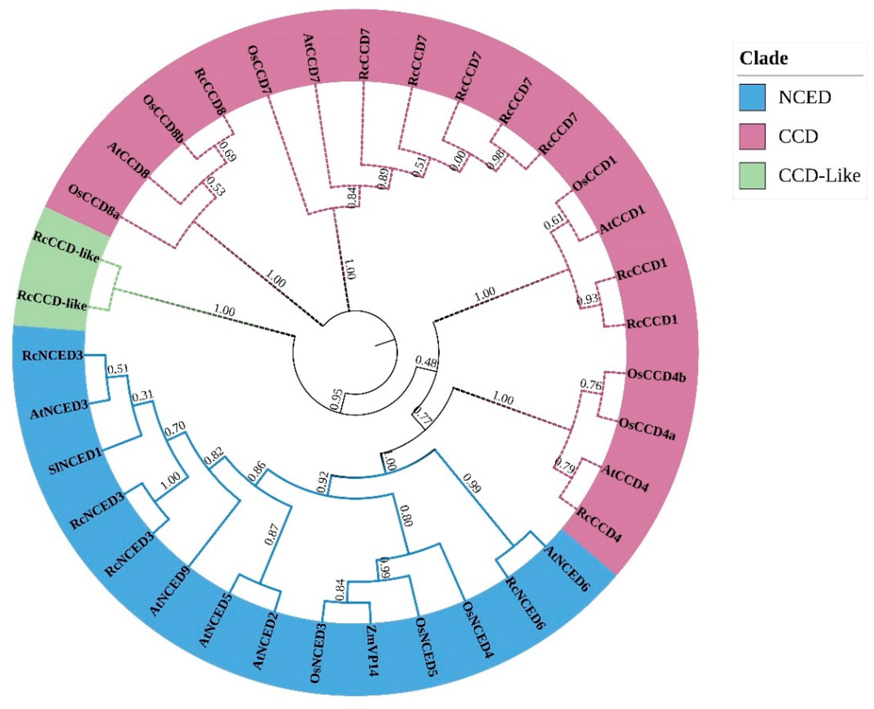 Horticulturae 09 00115 g002 Horticulturae 09 00115 g002