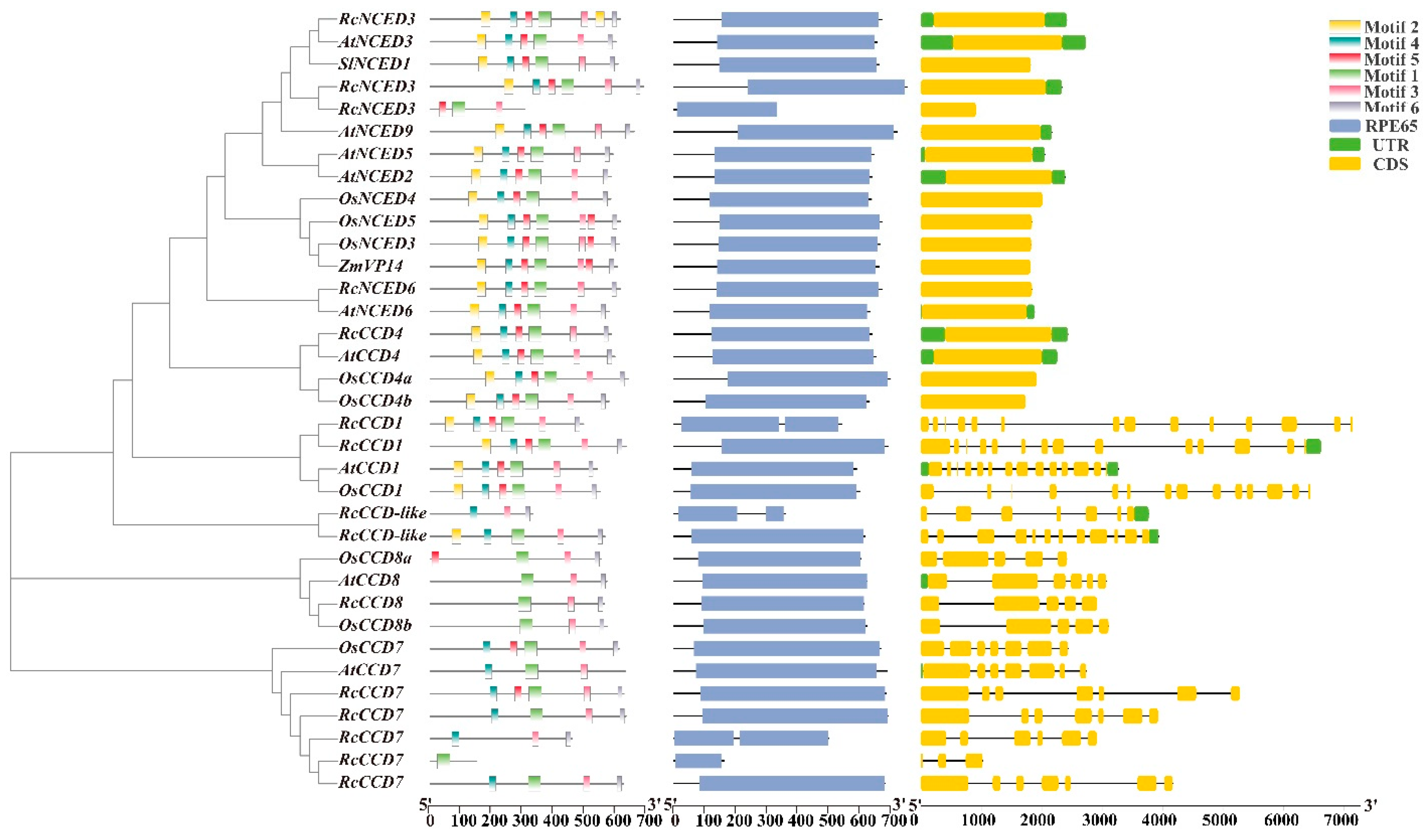 Horticulturae 09 00115 g003 Horticulturae 09 00115 g003