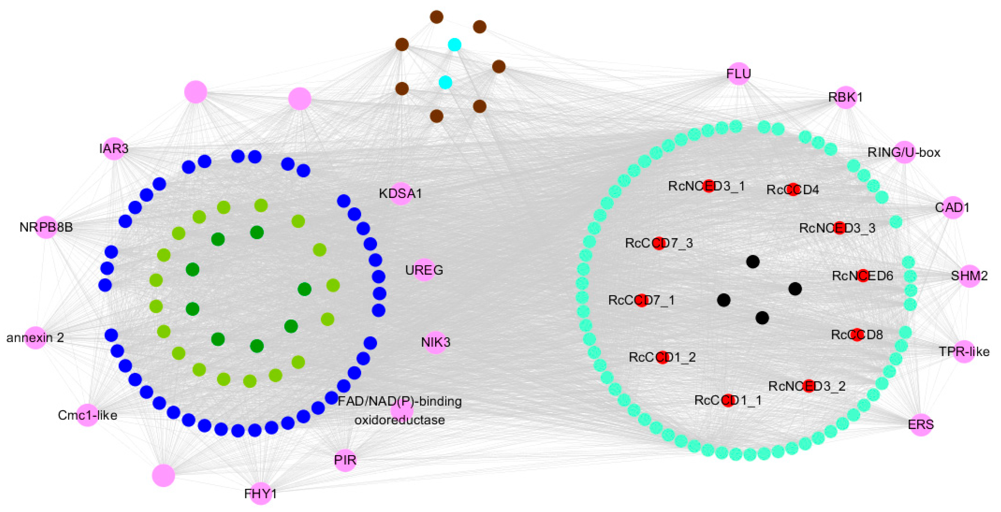 Horticulturae 09 00115 g010 Horticulturae 09 00115 g010