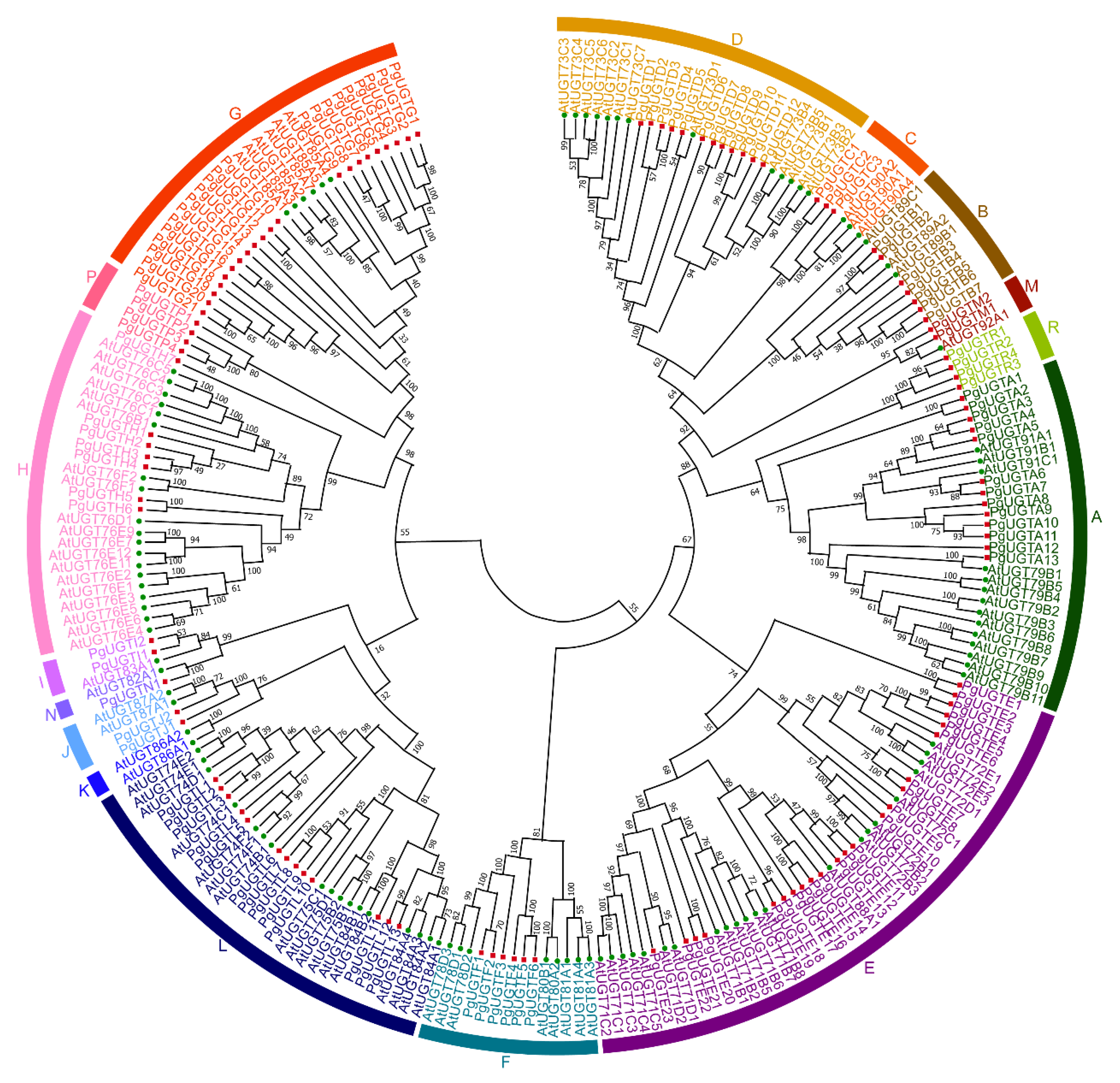 Horticulturae 09 00119 g001 Horticulturae 09 00119 g001