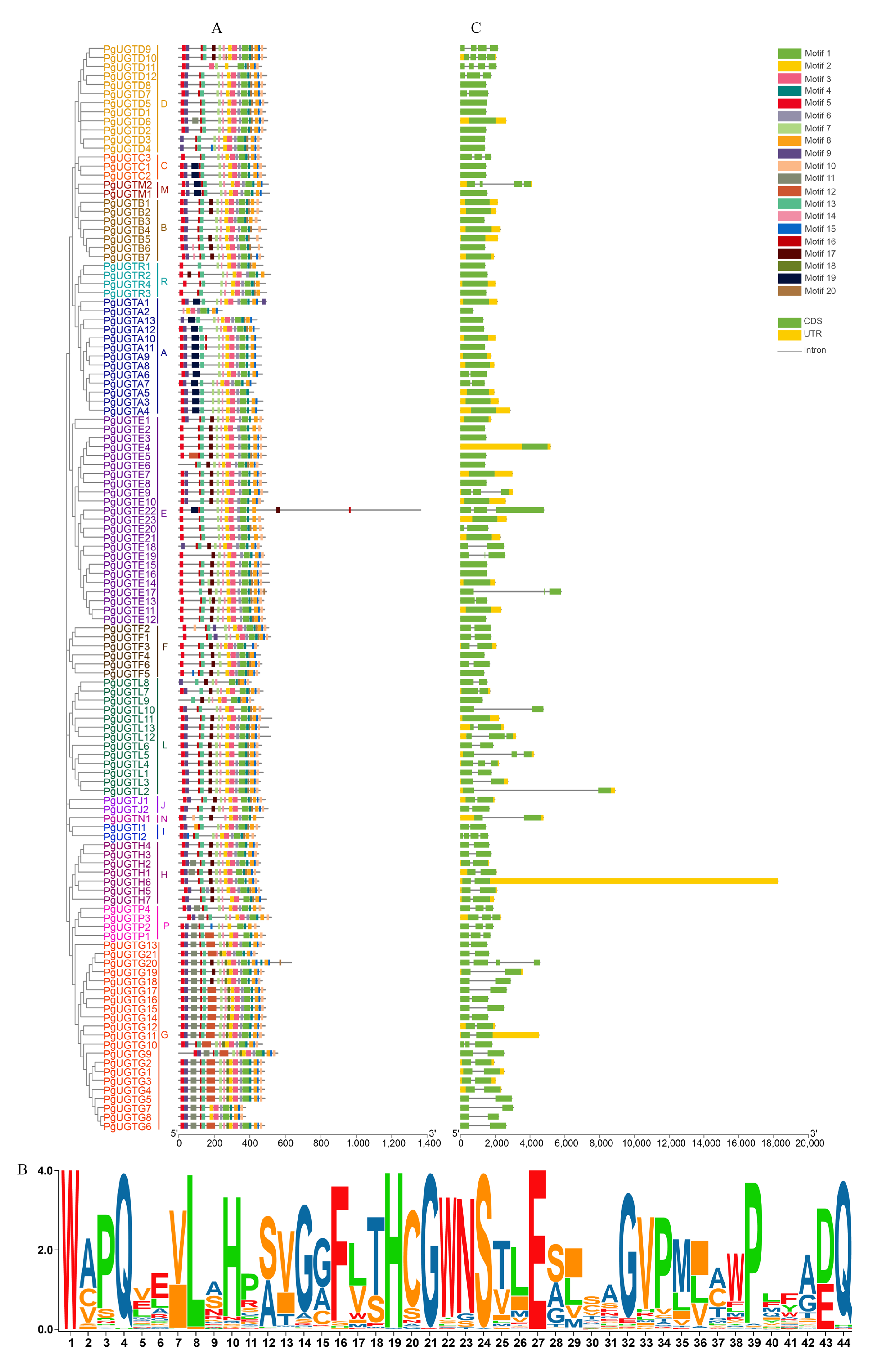 Horticulturae 09 00119 g002 Horticulturae 09 00119 g002