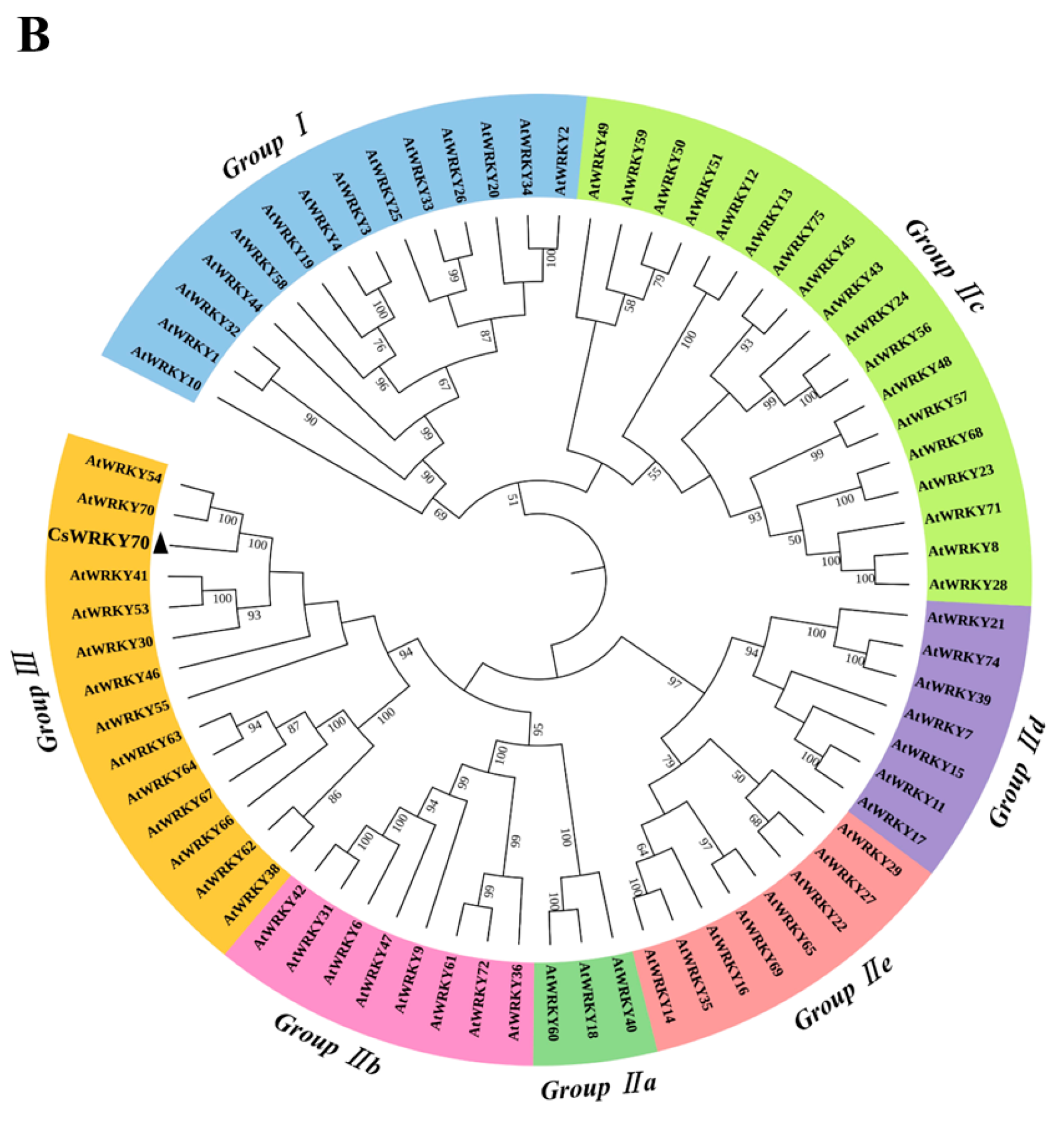 Horticulturae 09 00120 g002b