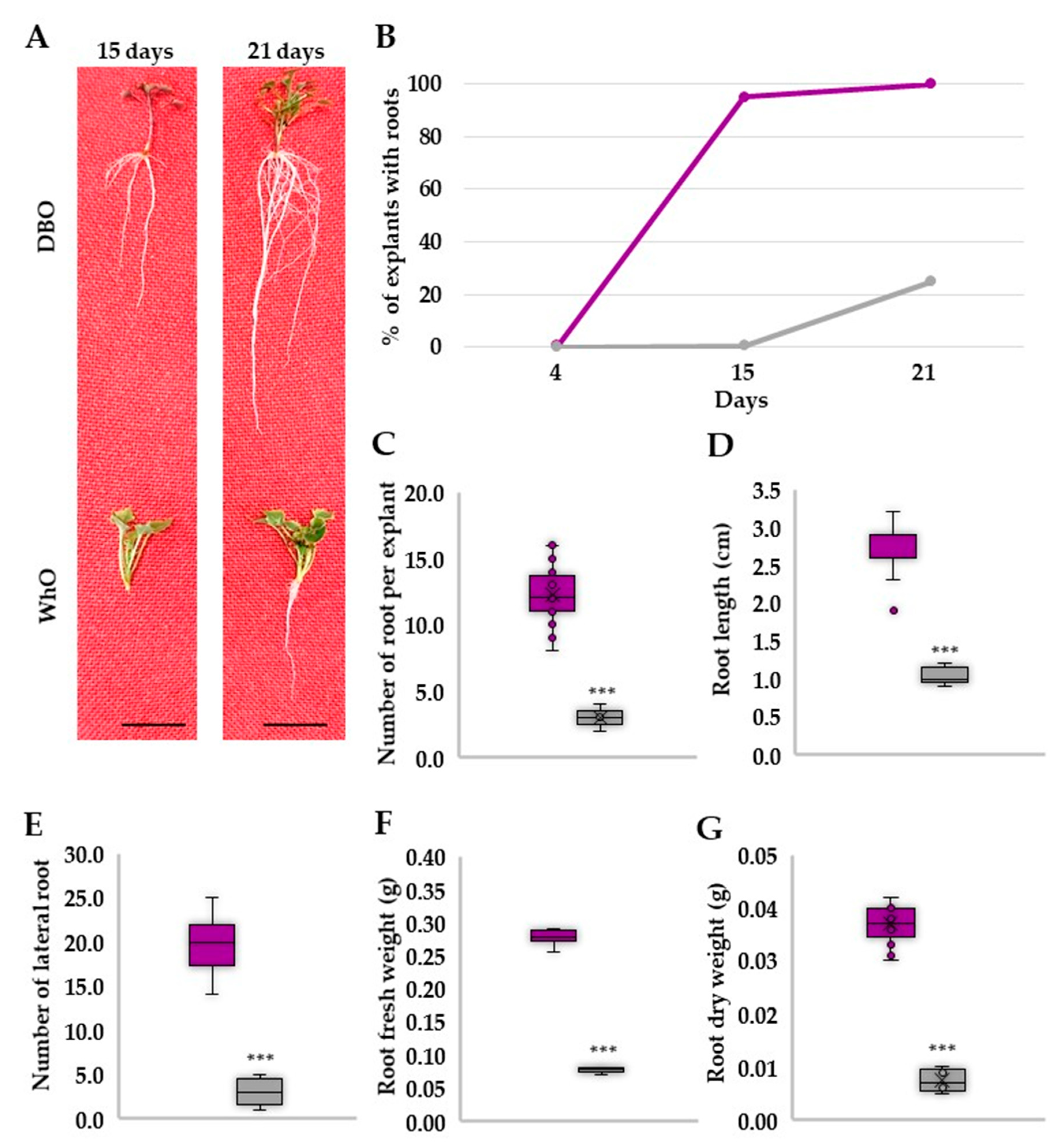 Horticulturae 09 00121 g002 Horticulturae 09 00121 g002