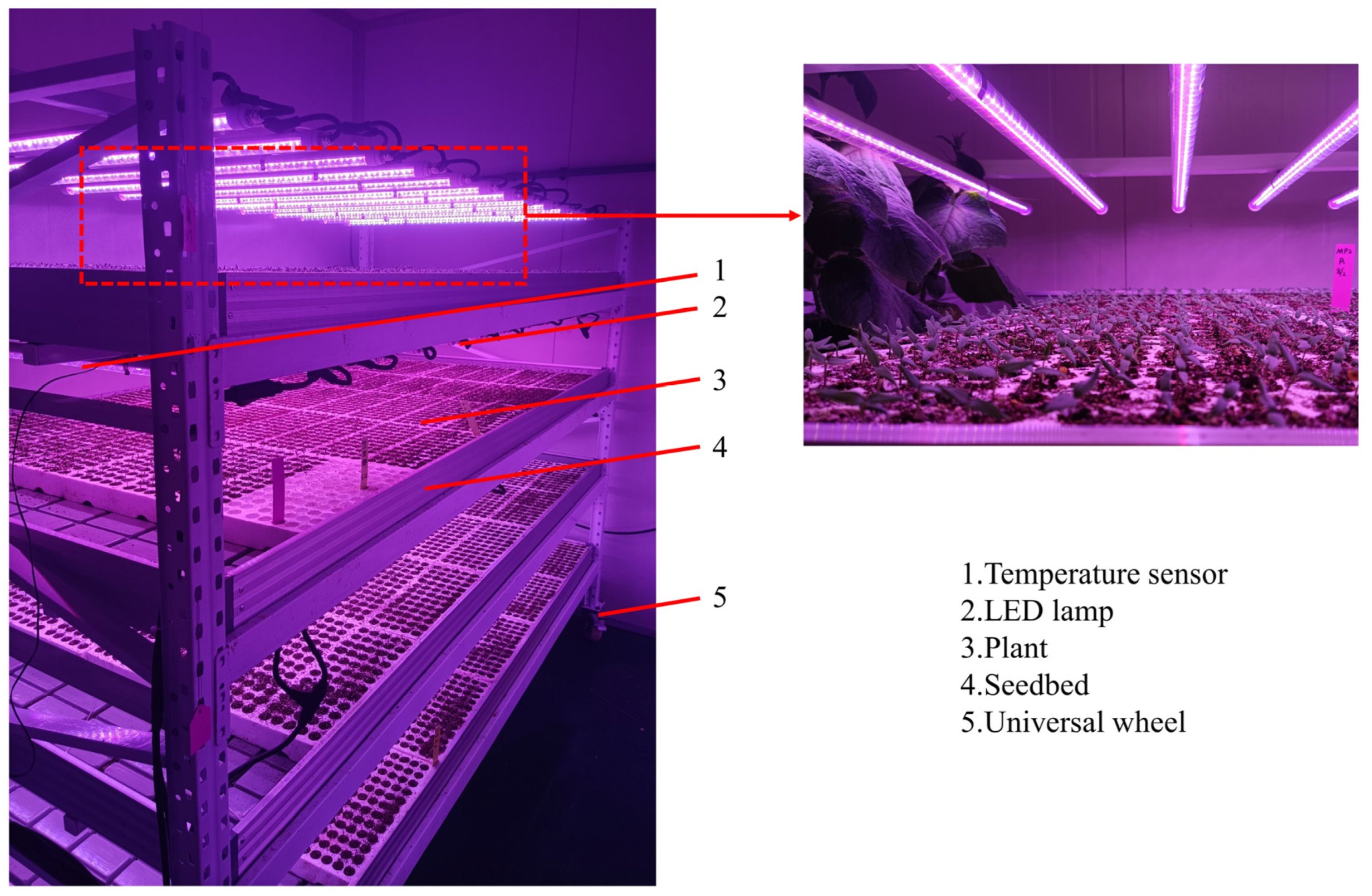 30-day update on Sansi led grow light comparison – Pepper Info