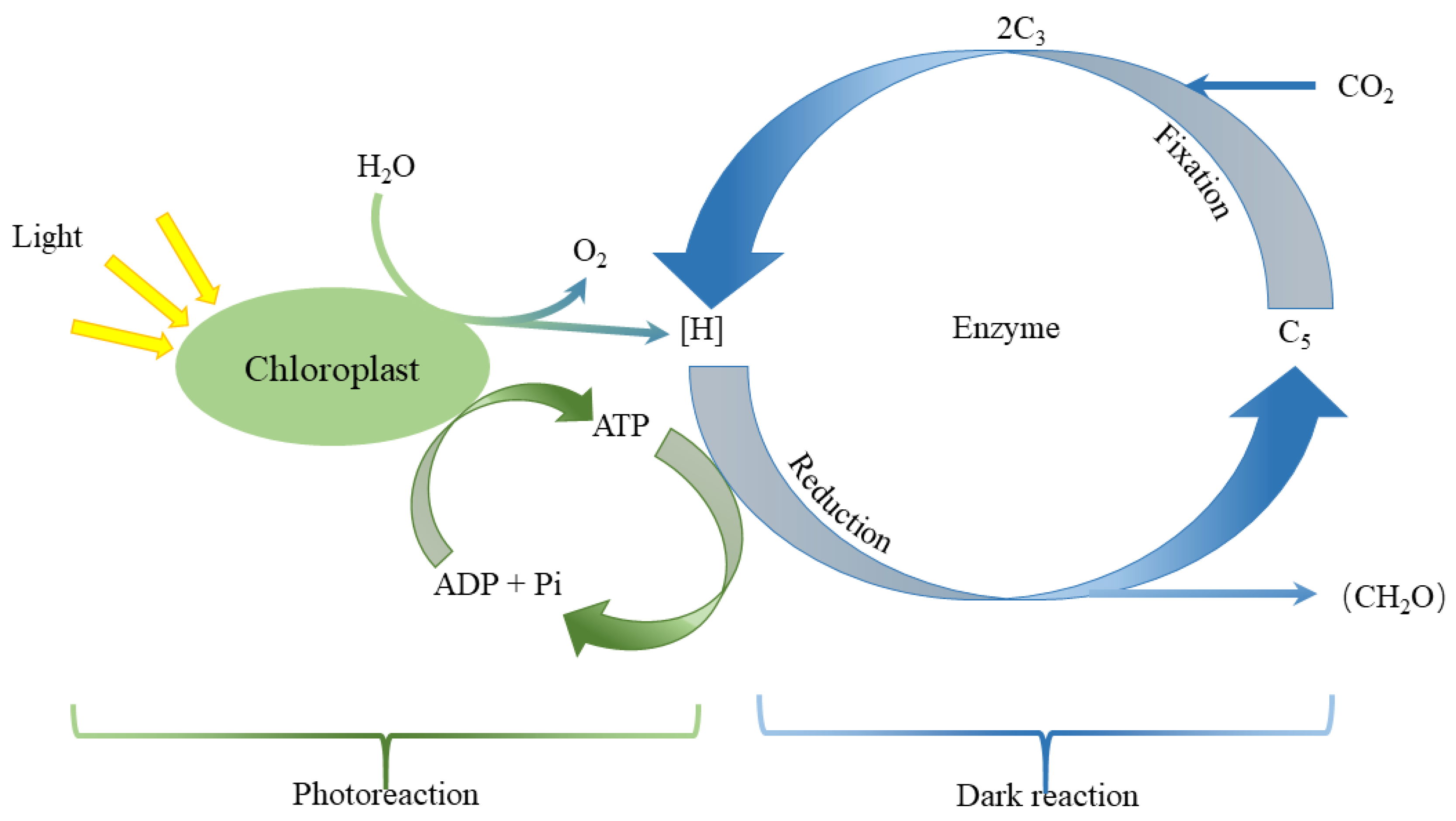 Horticulturae 09 00124 g007 Horticulturae 09 00124 g007