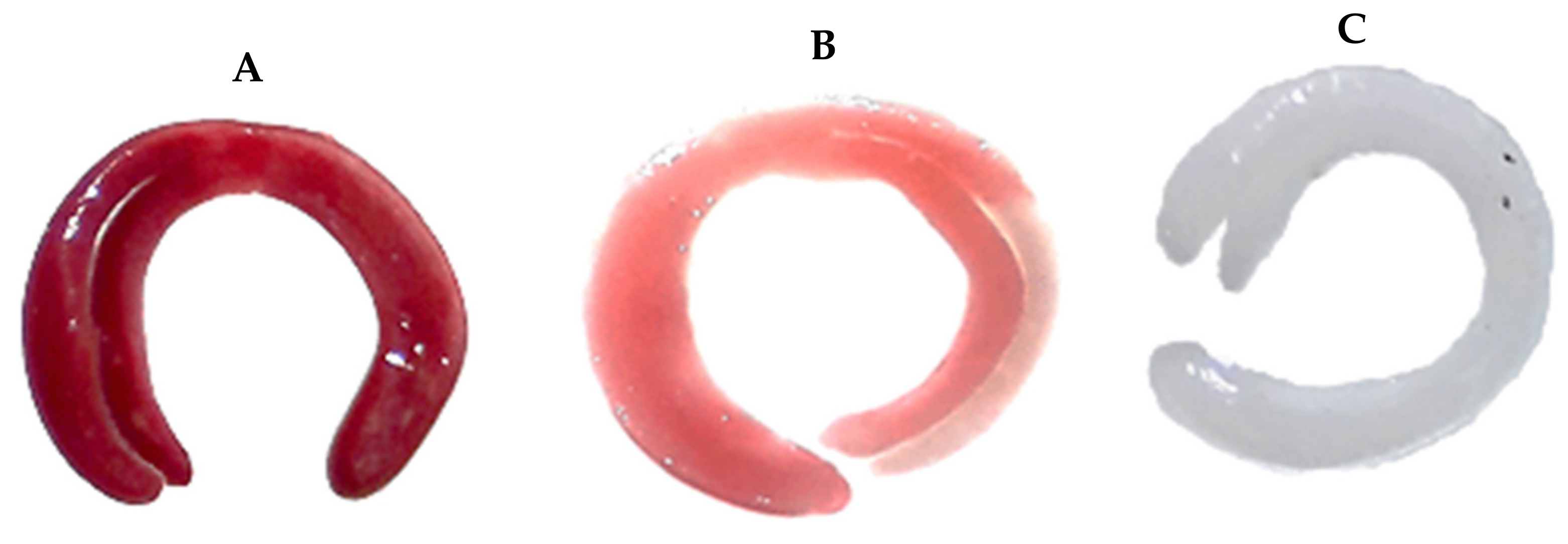 Horticulturae 09 00177 g005