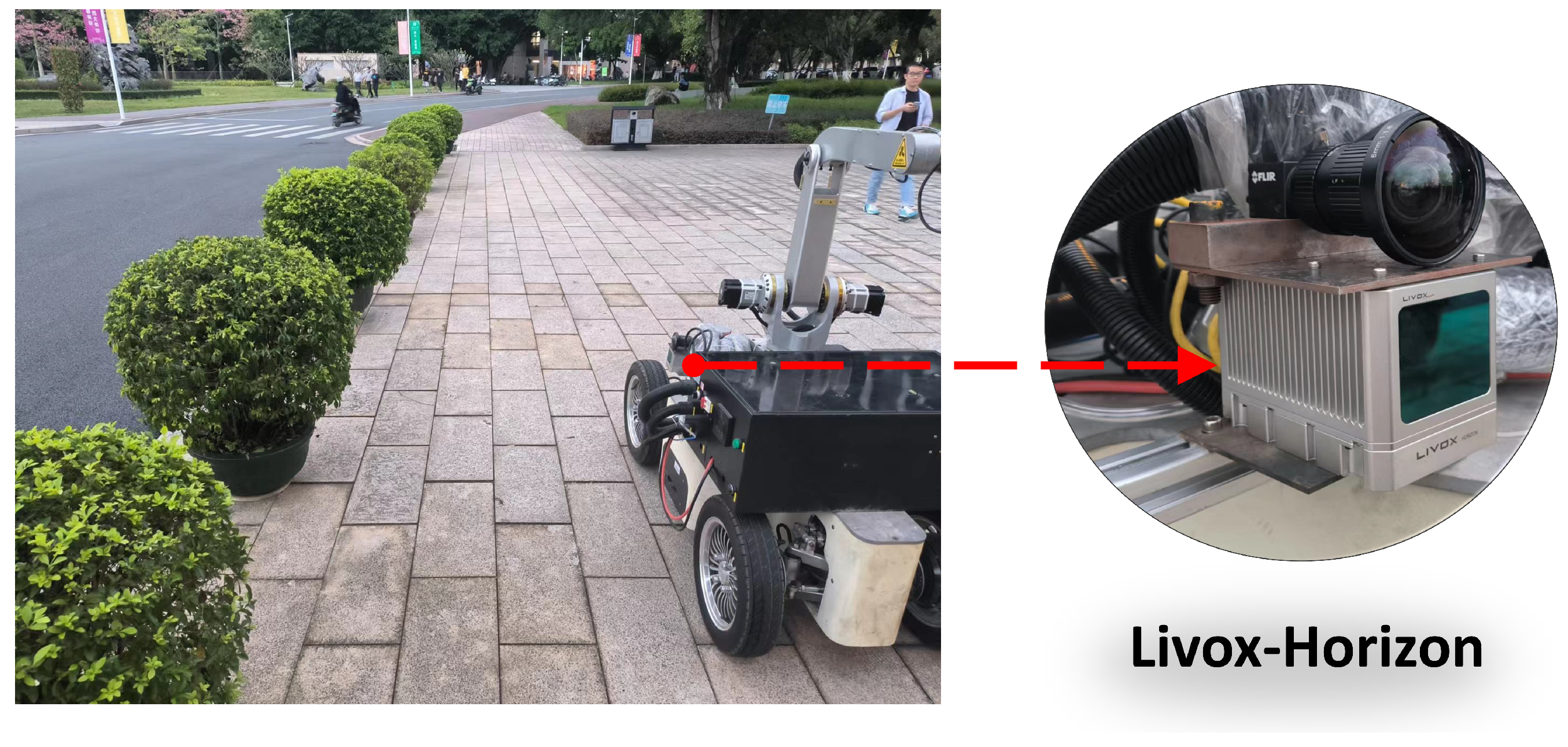 Horticulturae 09 00227 g001