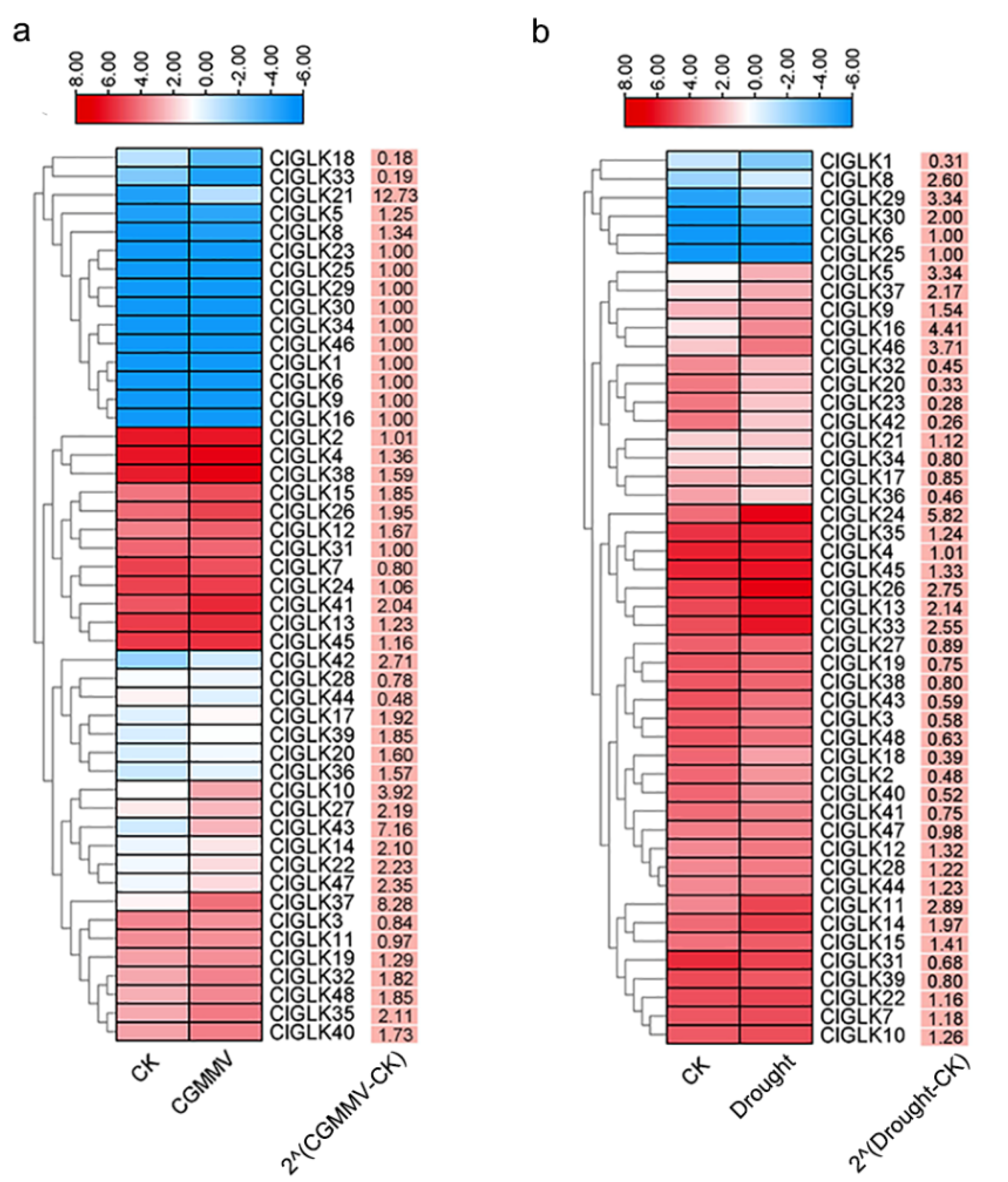 Valid 2016-FRR Test Review