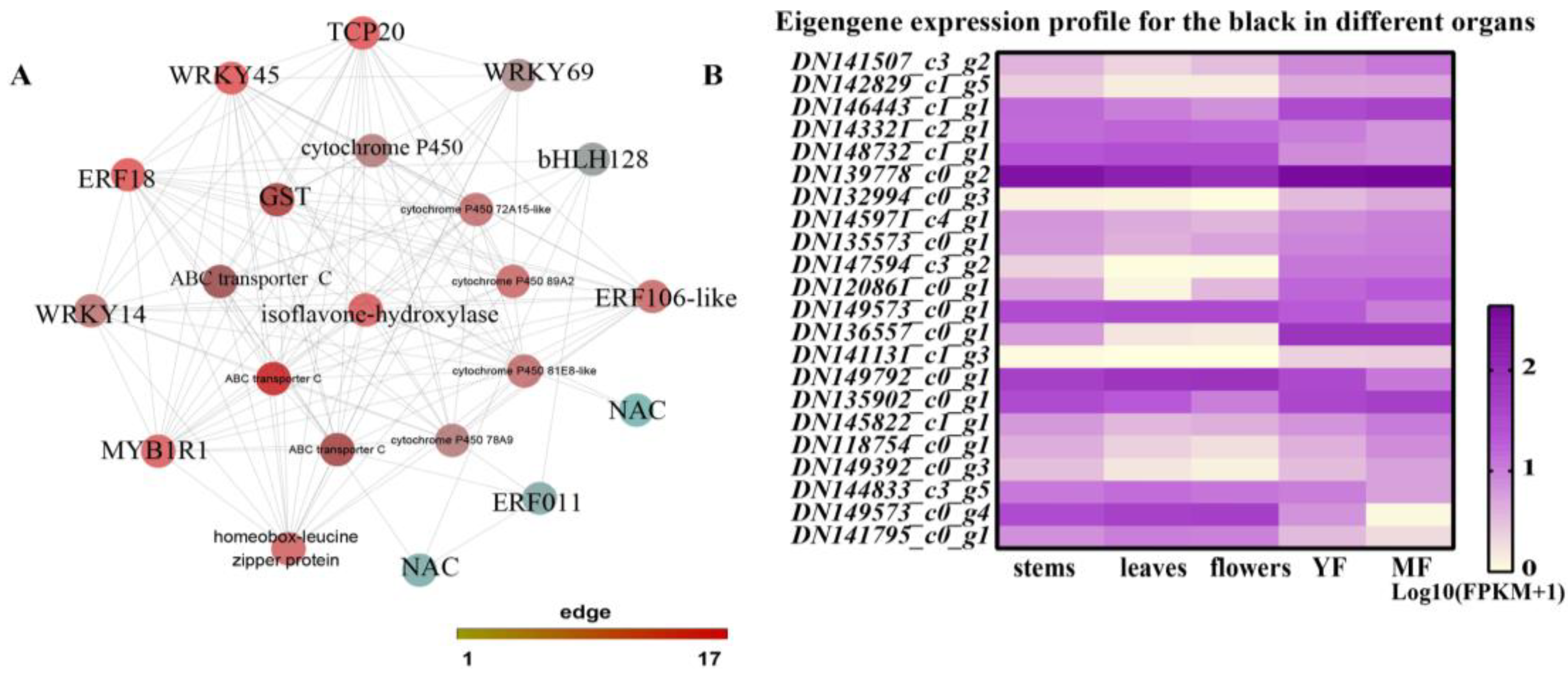 Horticulturae 09 00233 g006